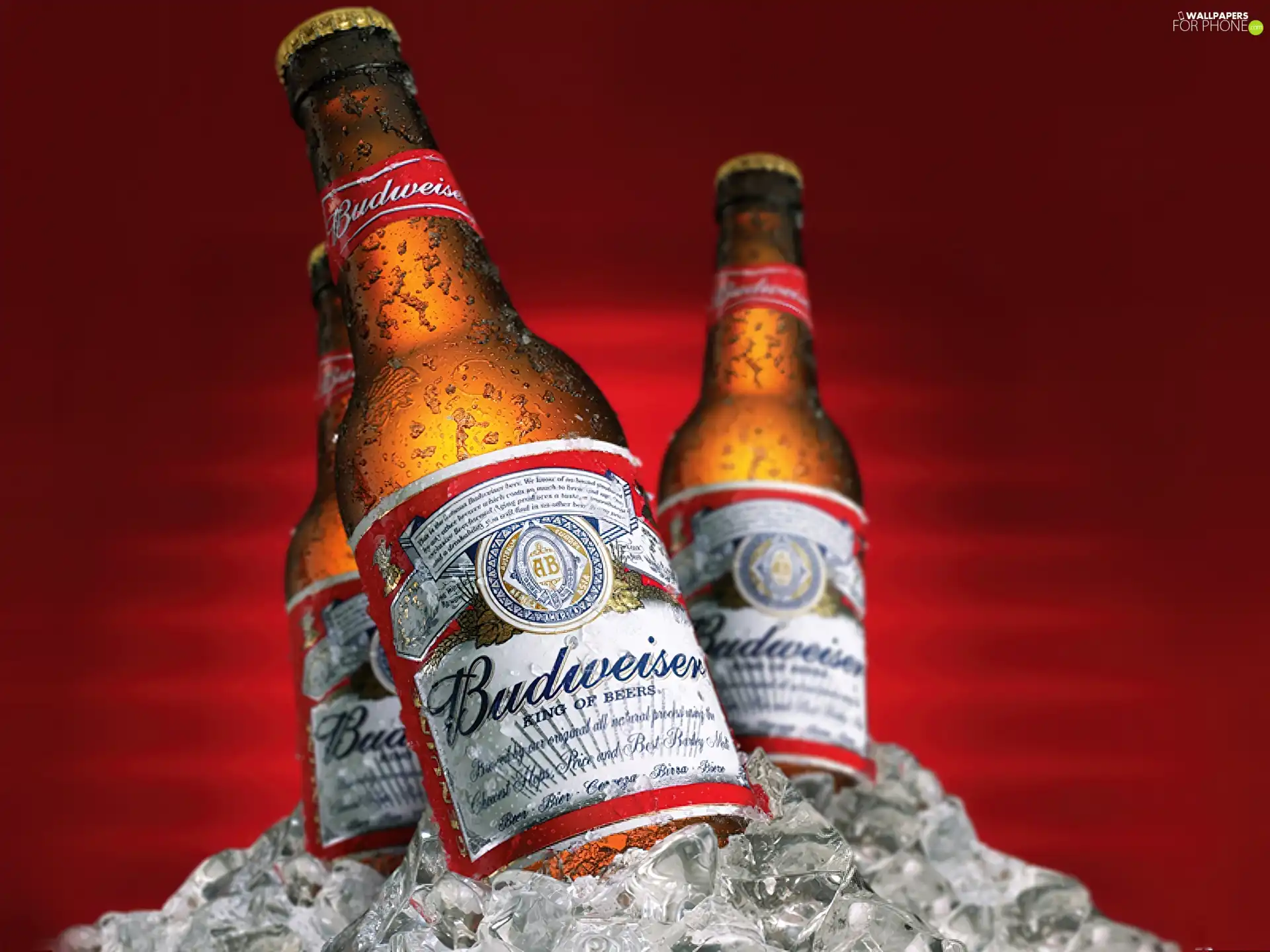 Budweiser, Beer