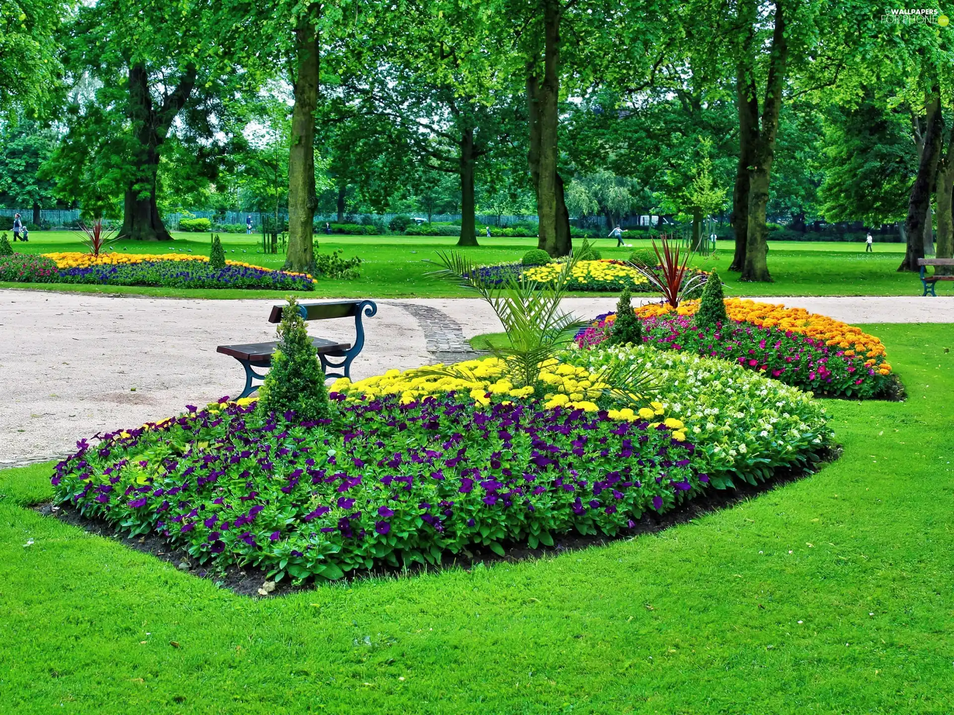 Park, lane, Bench, Flower-beds