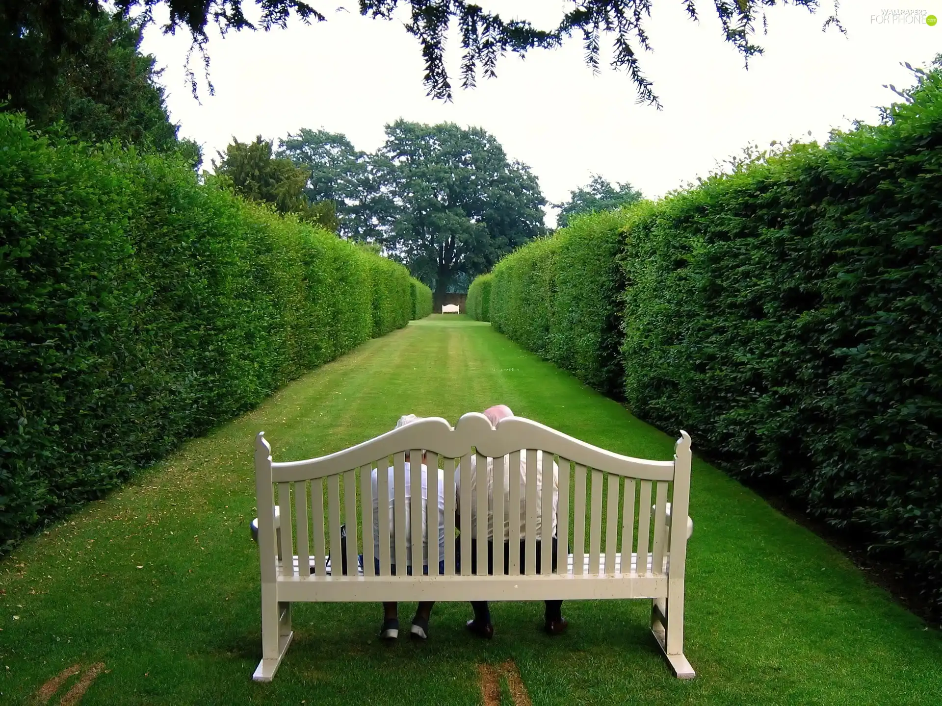 Park, Bench