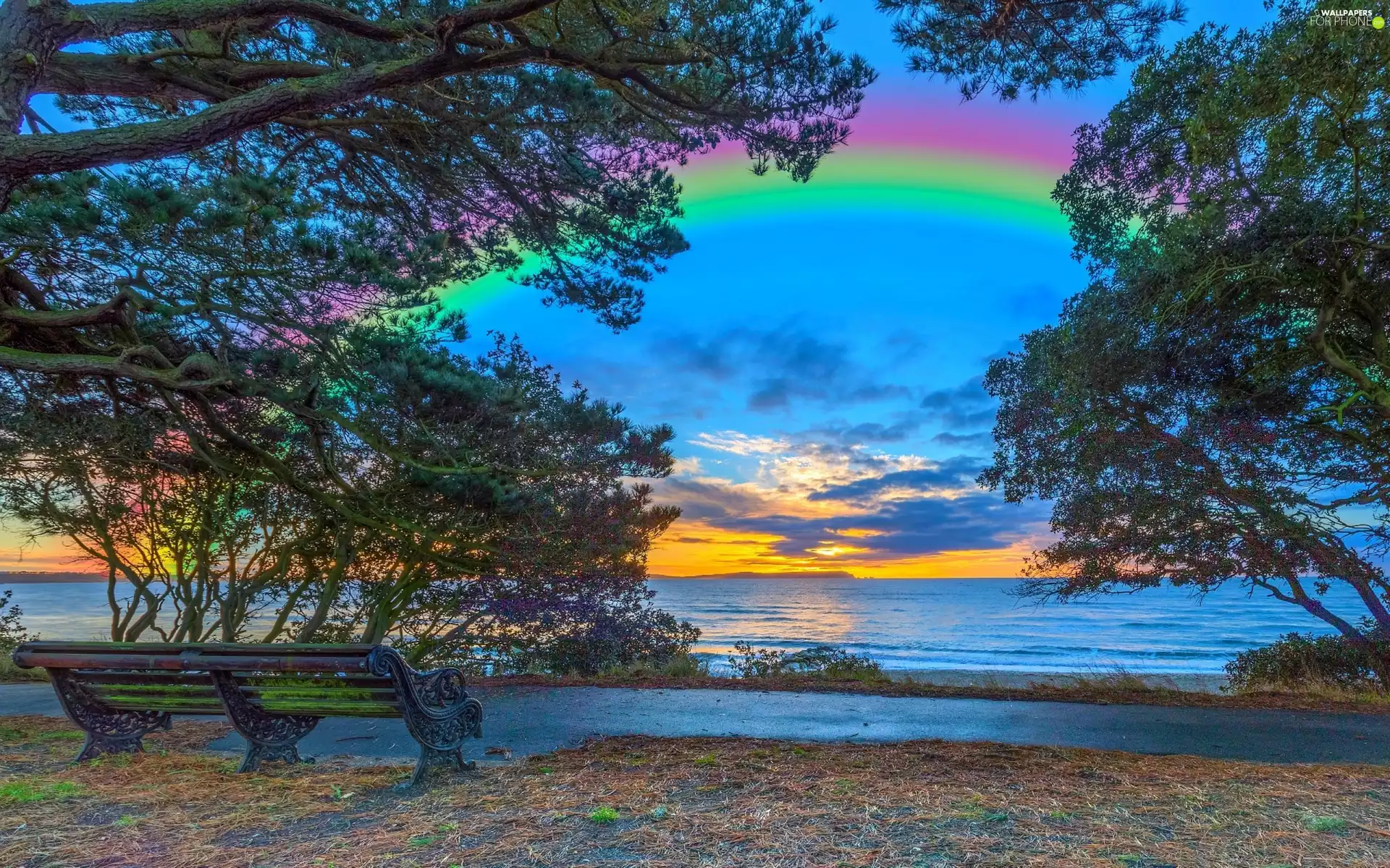 Bench, sea, trees, Great Rainbows, Great Sunsets, Path, viewes
