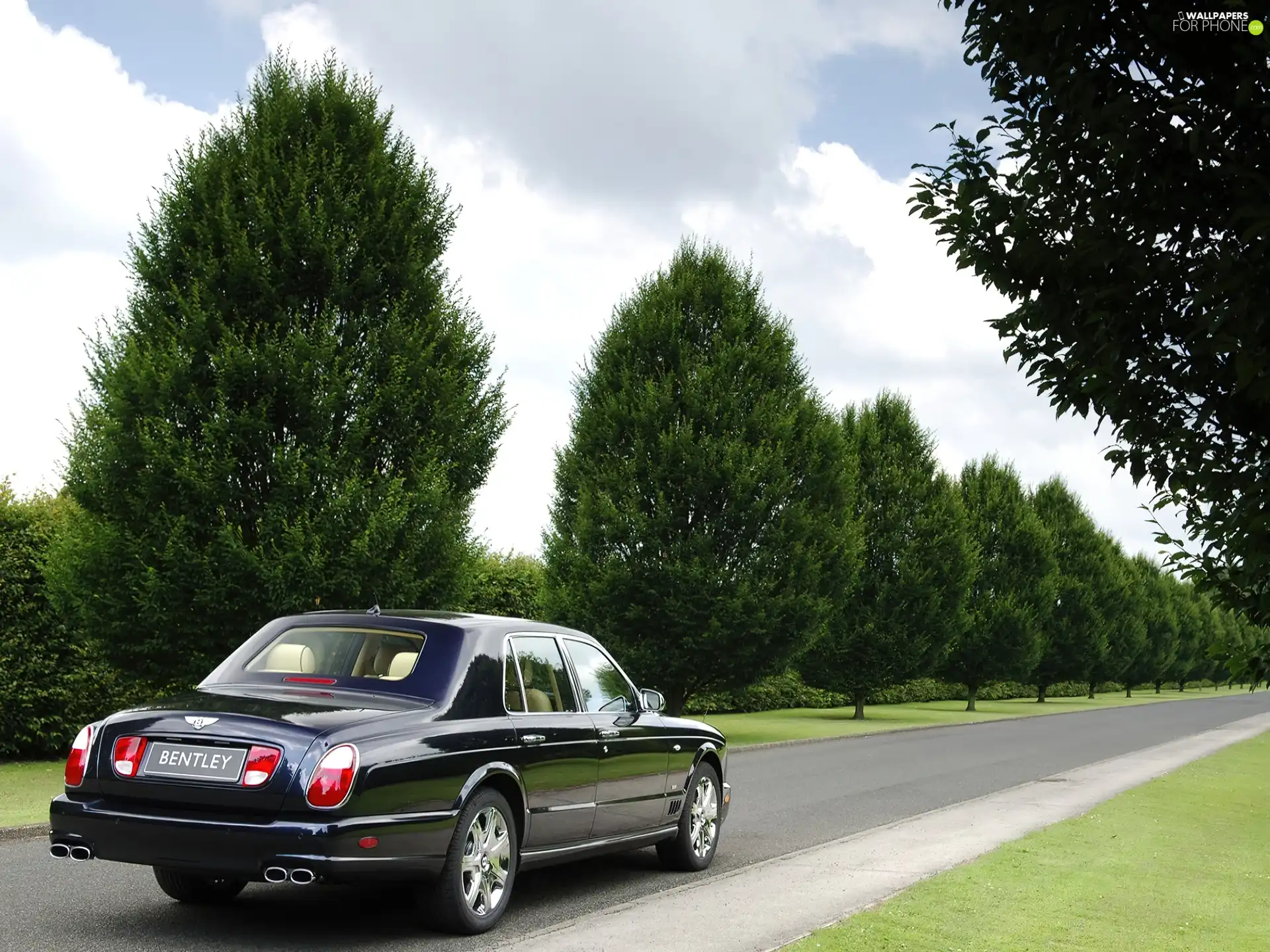 Limousine, Bentley Arnage Blue Train Series