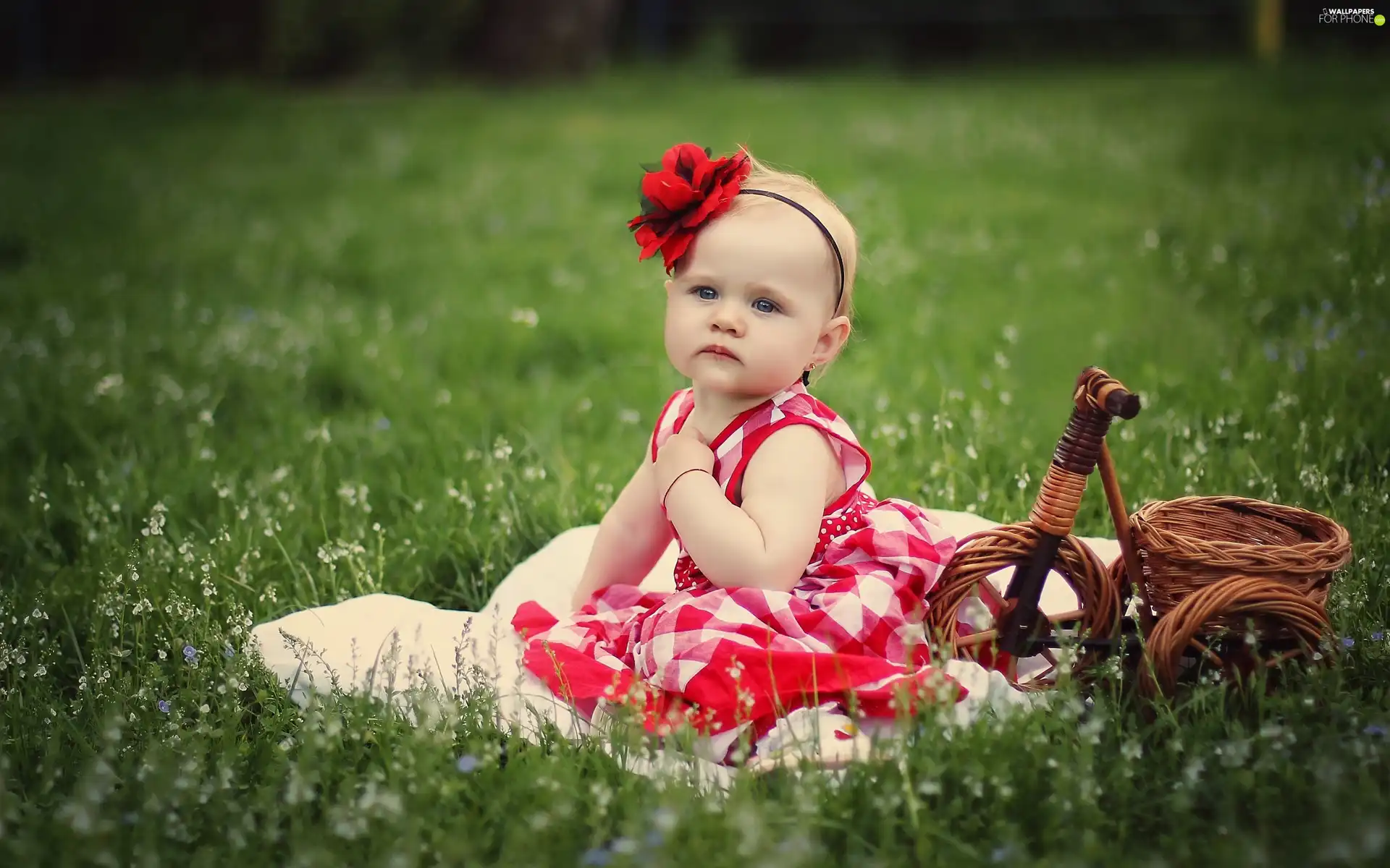 small, wicker, Bicycle, girl