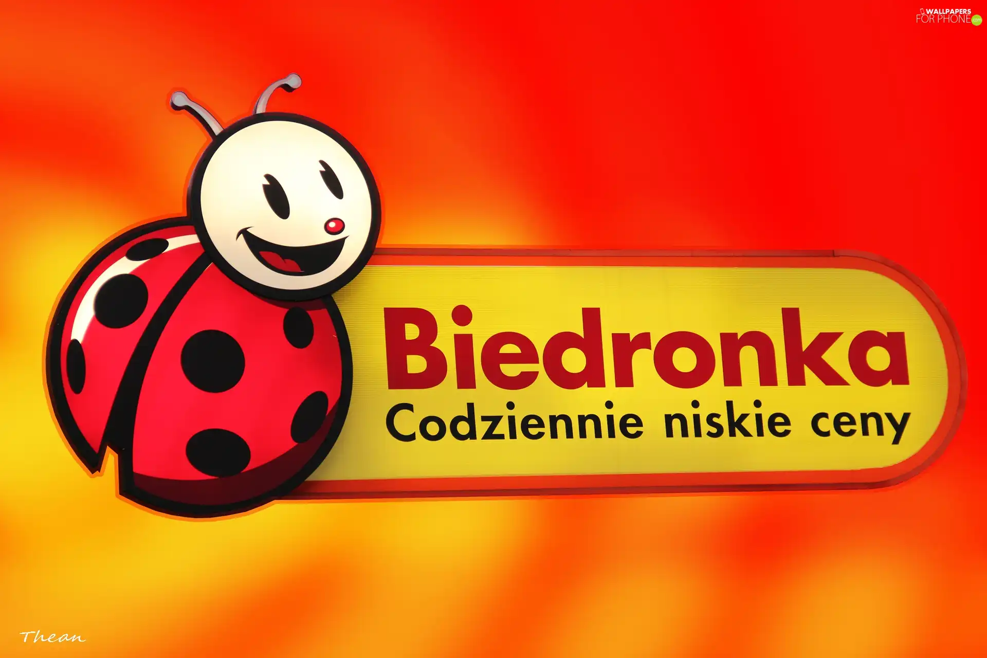 commercial, Discount Biedronka