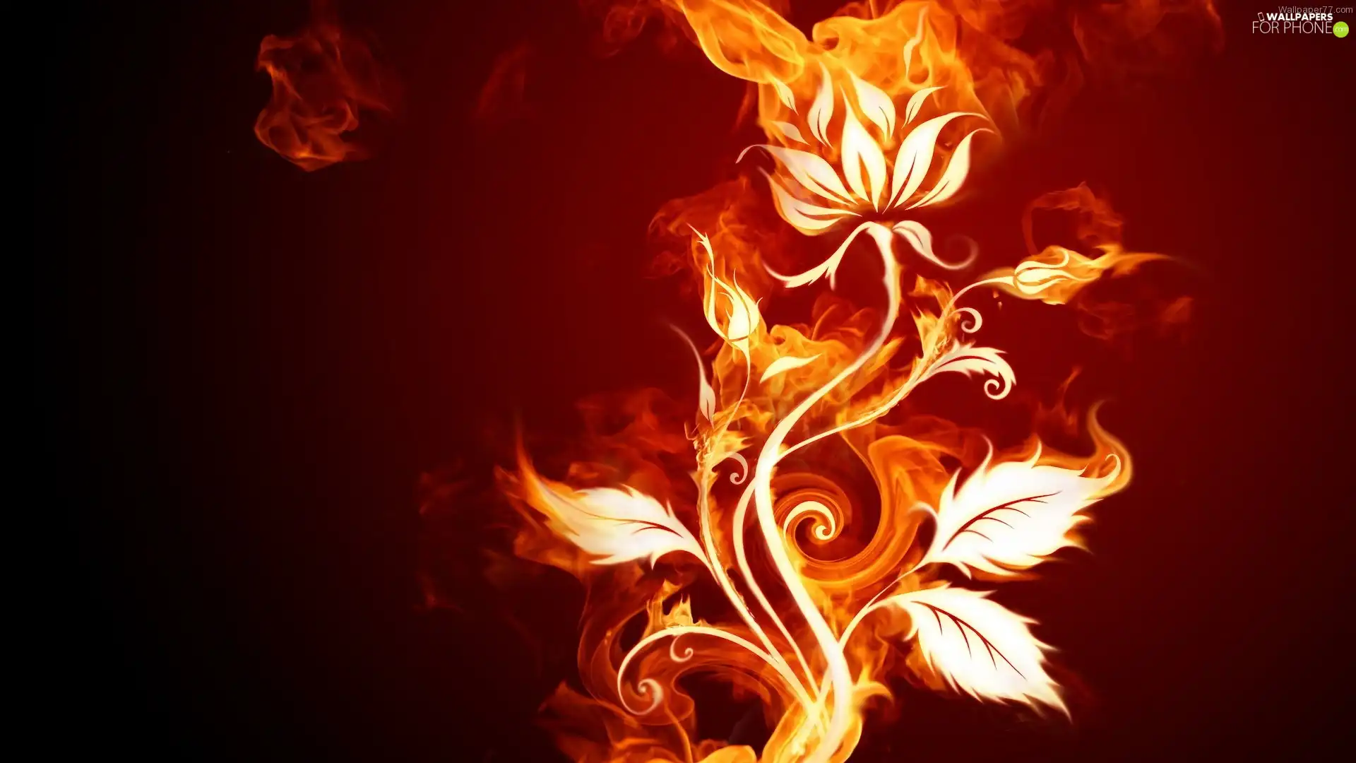 Colourfull Flowers, Big Fire