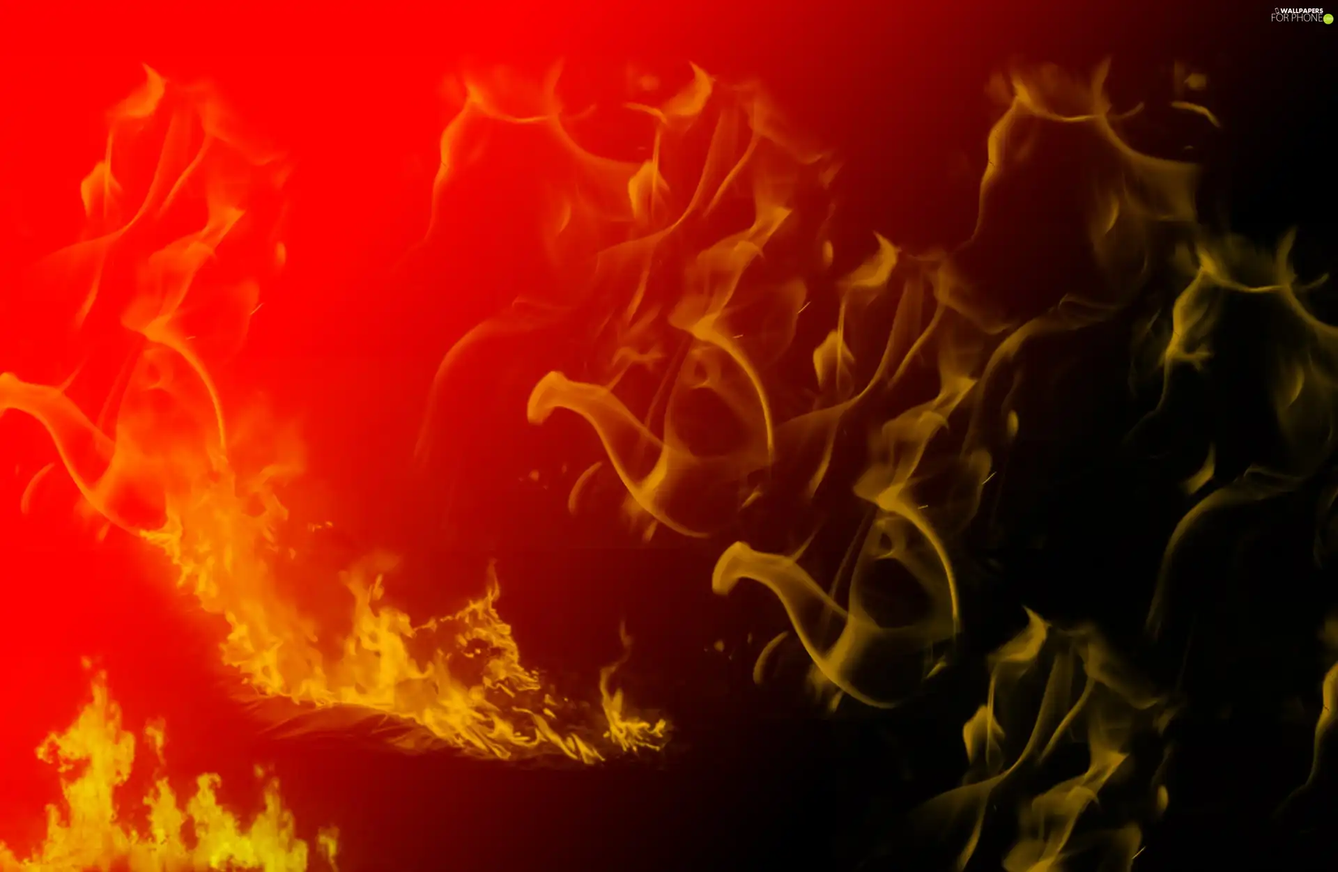 combustion, Flames, Big Fire