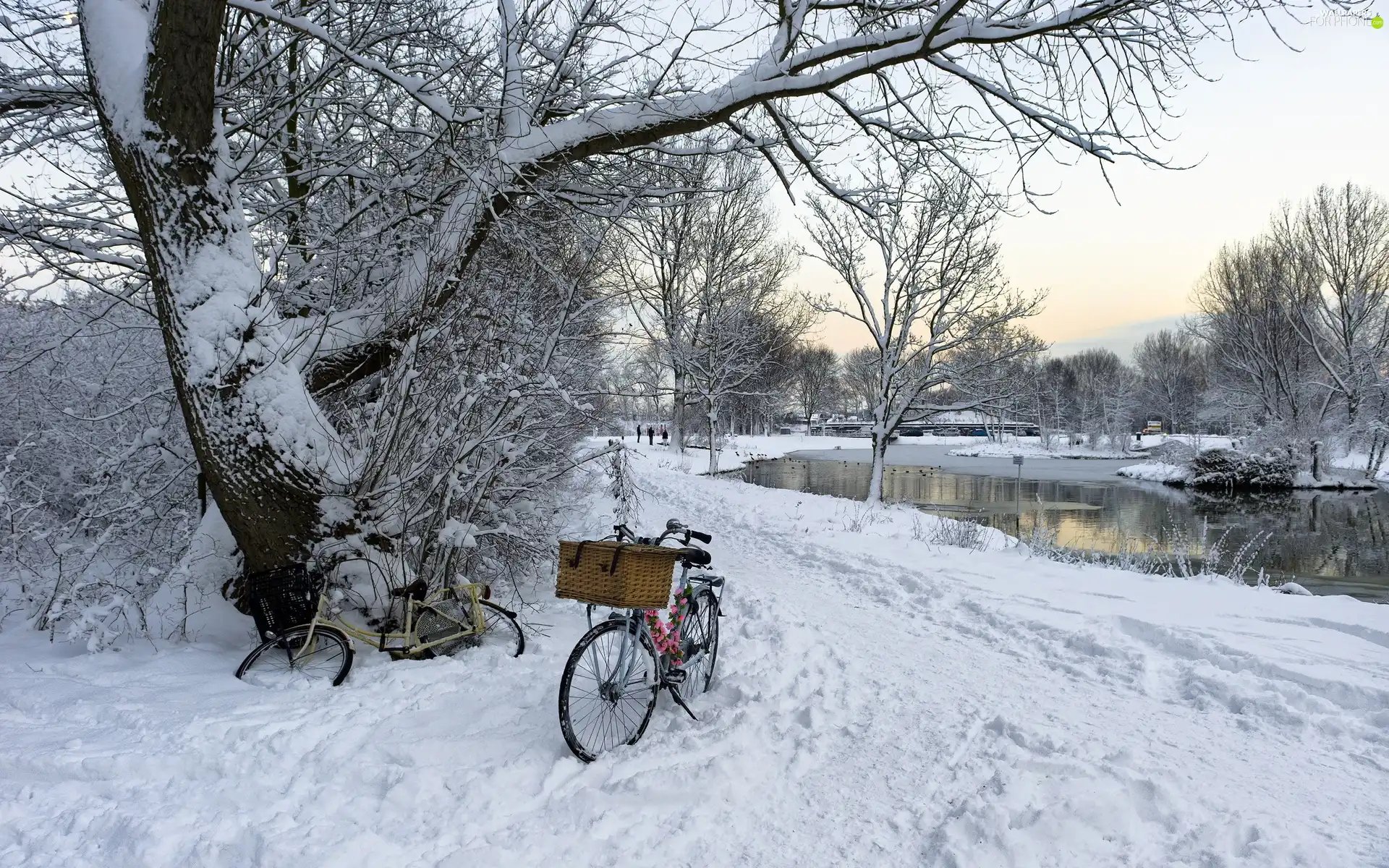 Park, River, Bikes, snow
