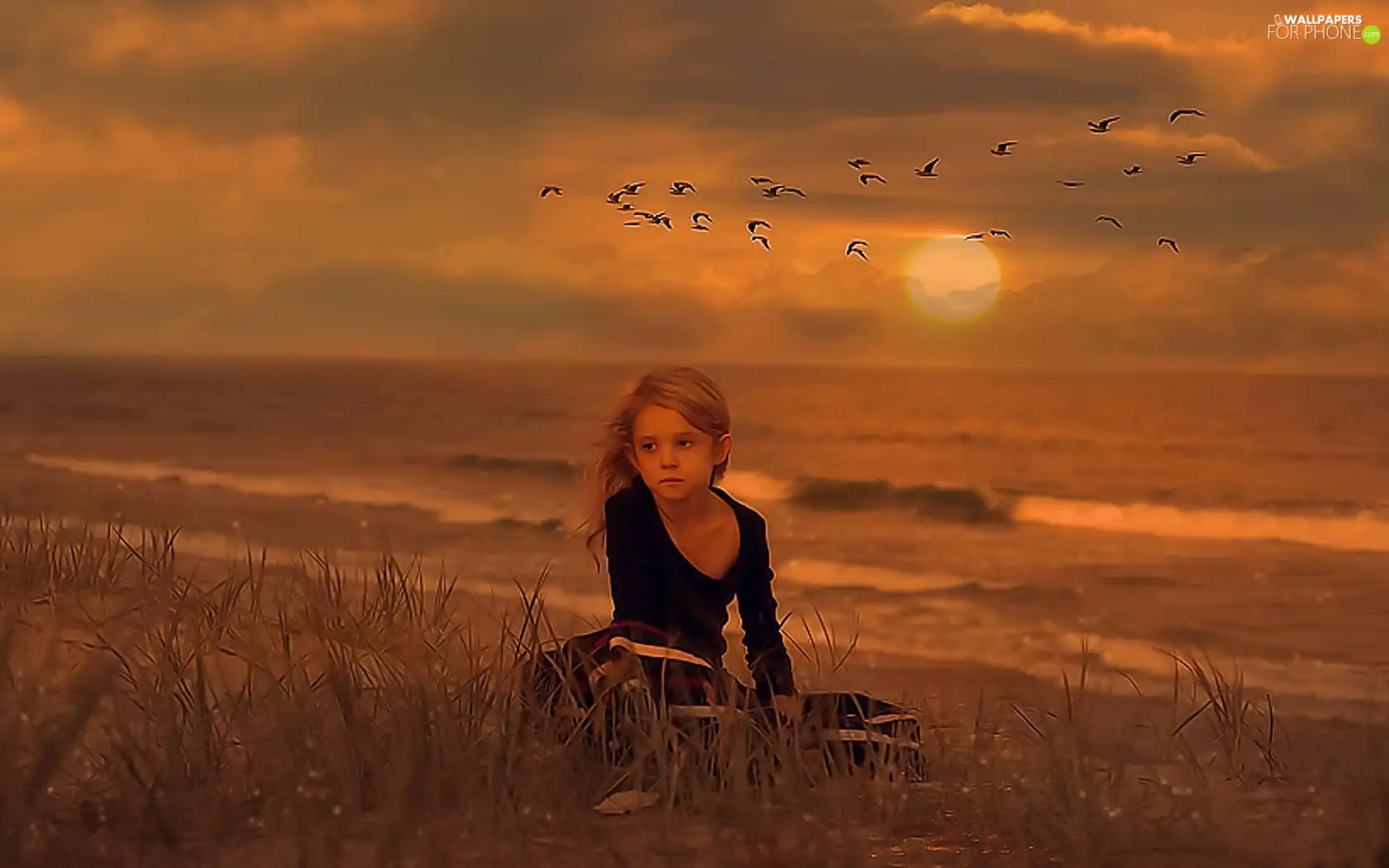 birds, girl, Beaches