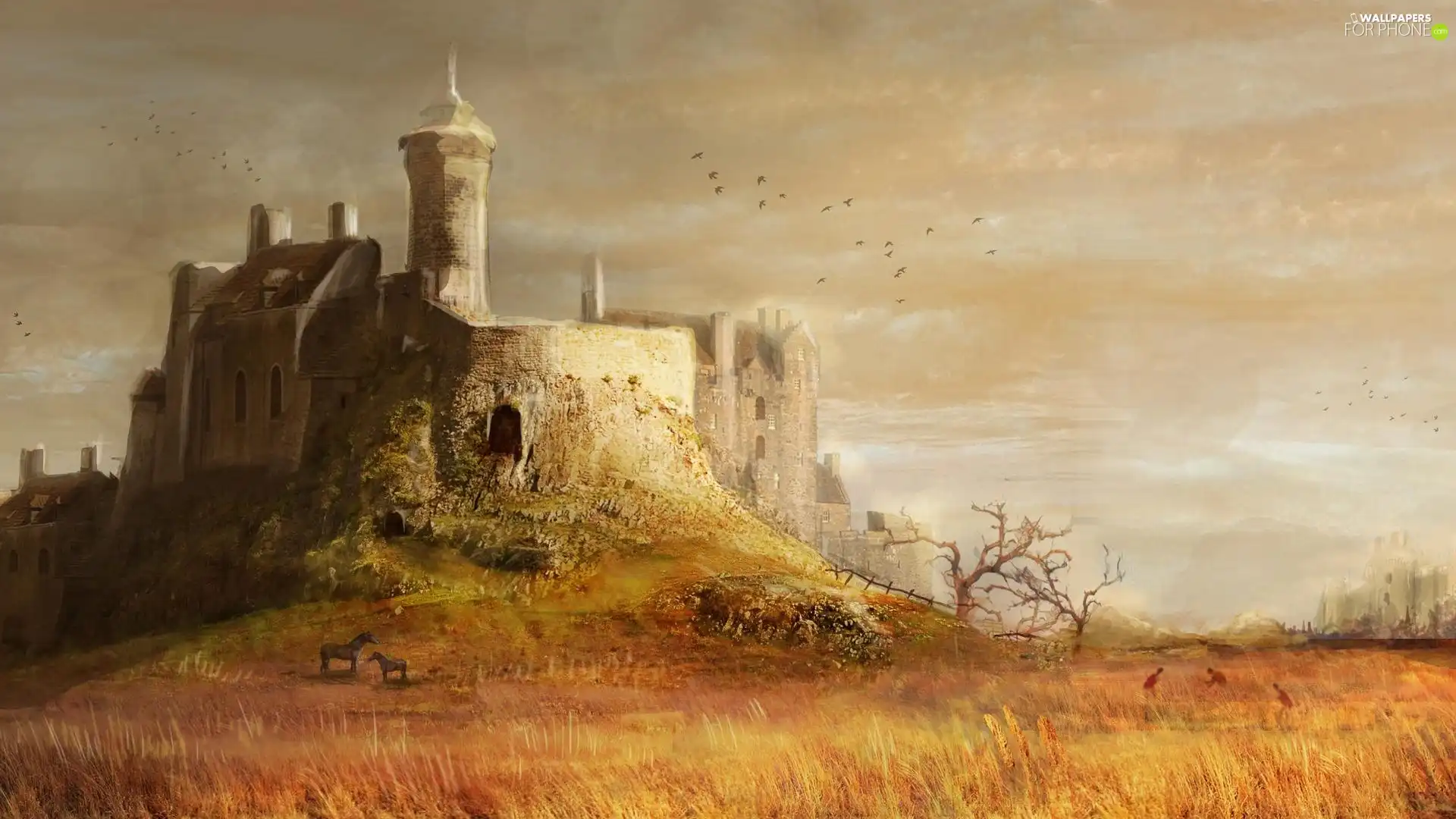 Old car, grass, birds, Castle