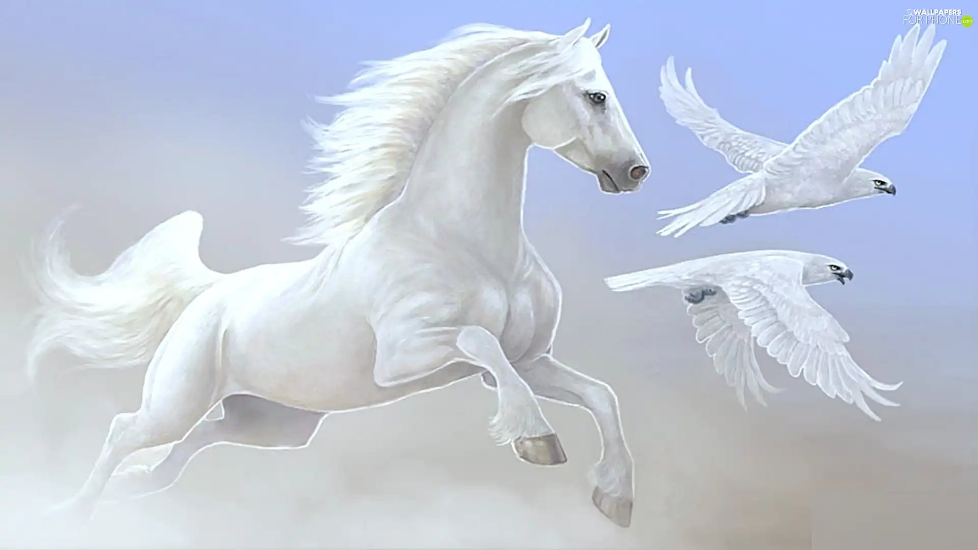 White, White, birds, Horse