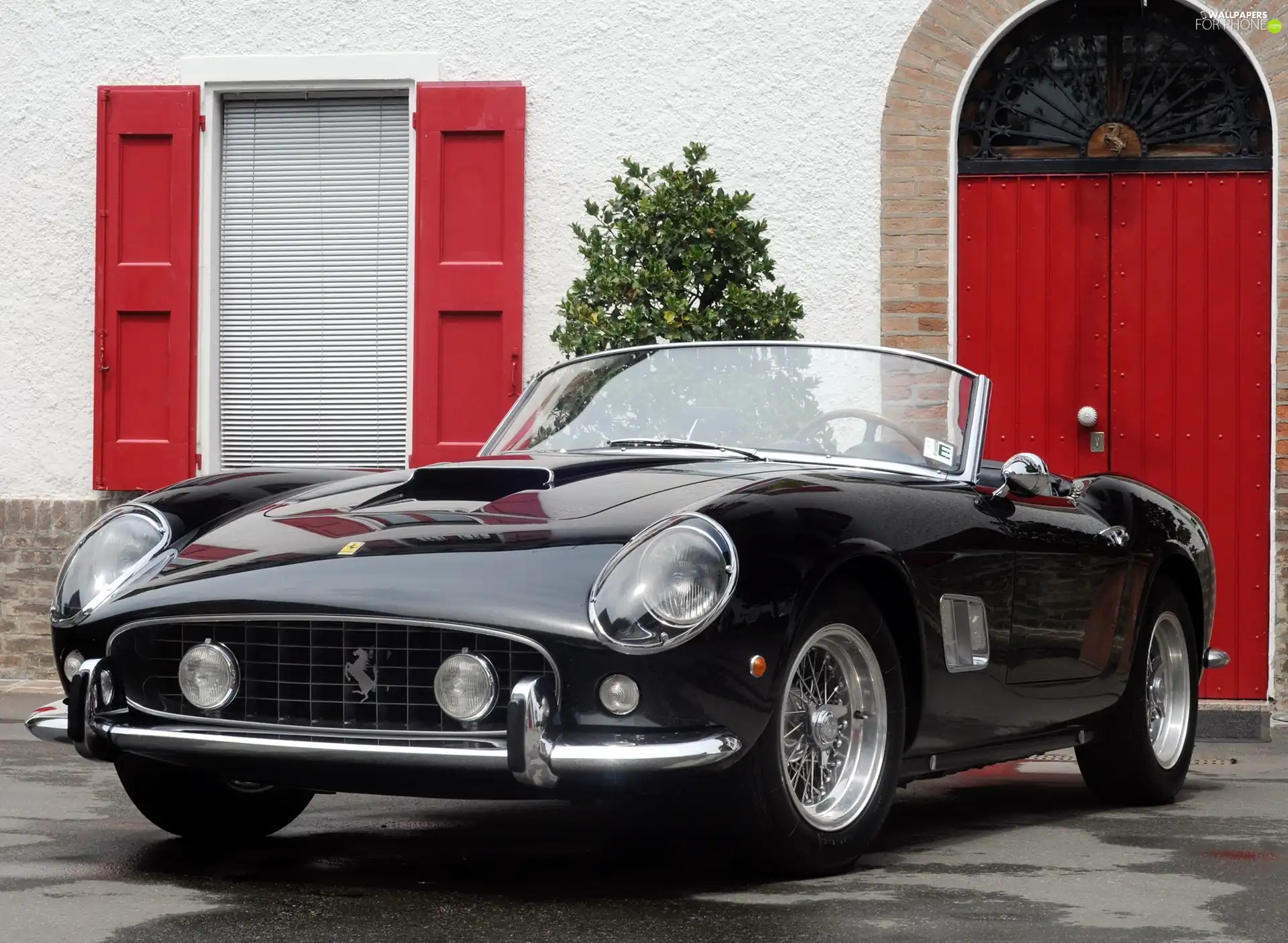 Cabriolet, Ferrari 250 Spider, Black