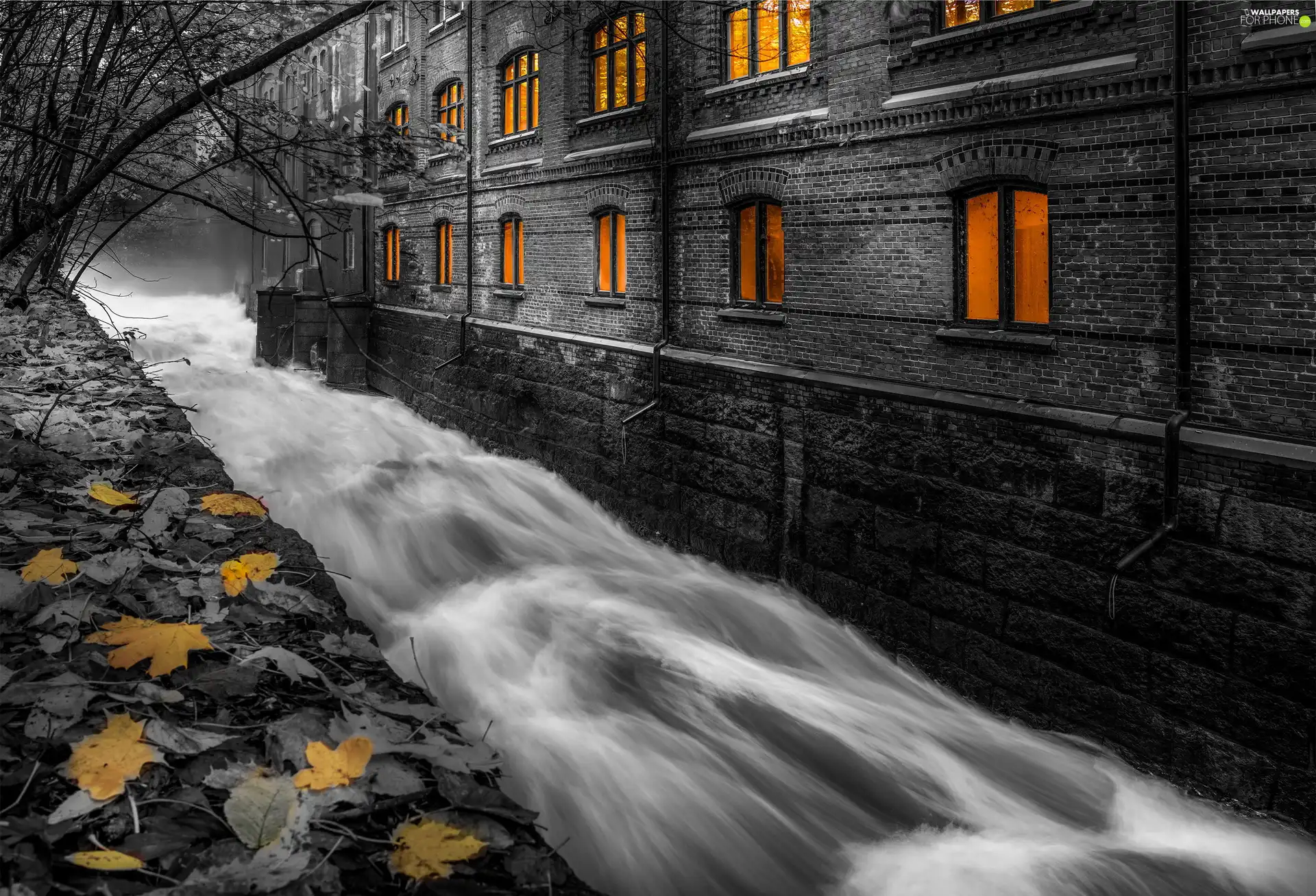 Houses, Leaf, Black and white, River