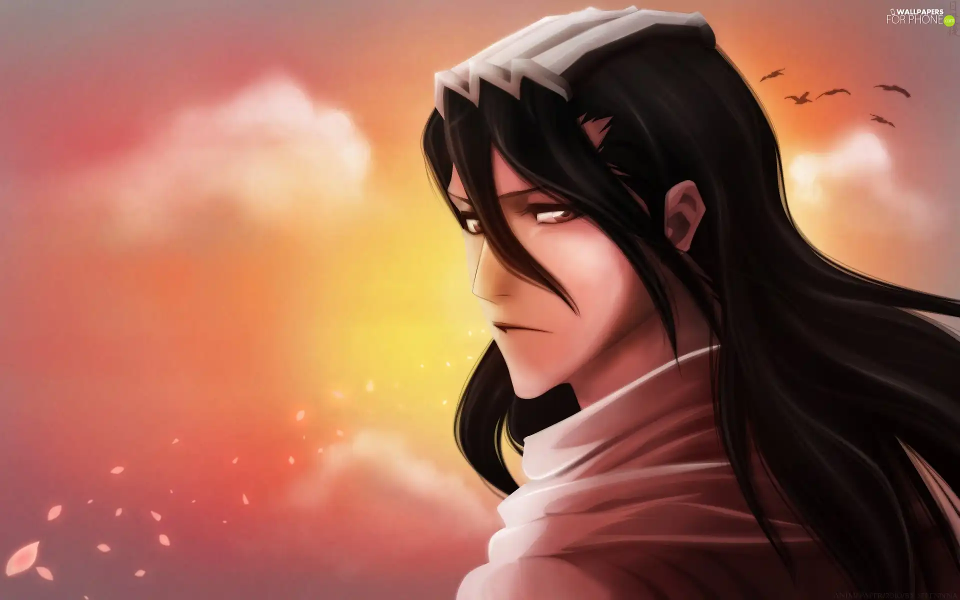 bleach, Kuchiki, Byakuya