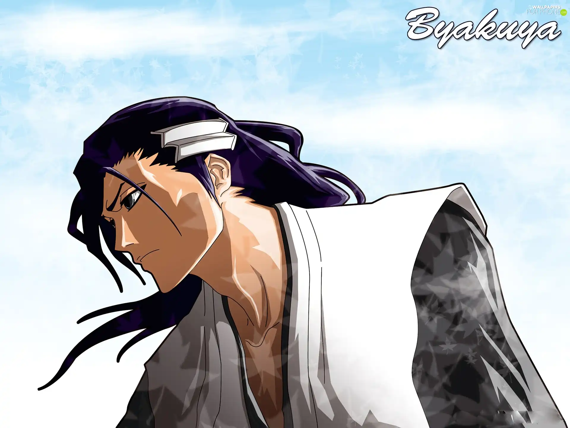 bleach, Byakuya, captain