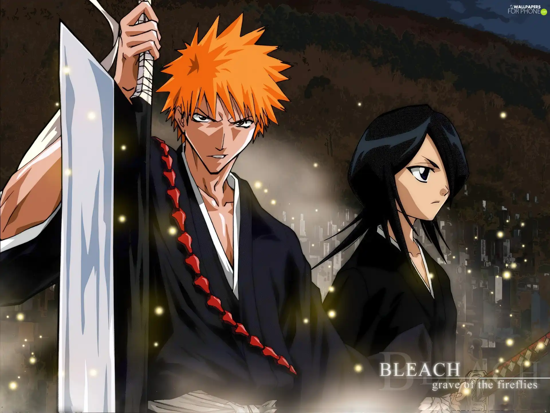 Kurosaki, Characters, bleach, Rukia