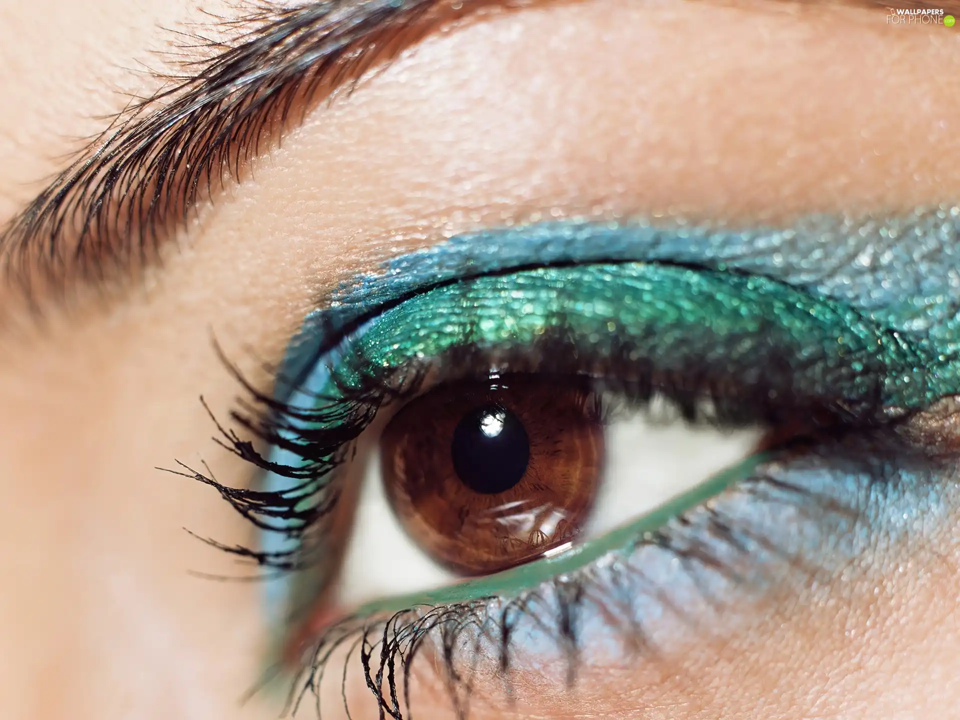 blue, shadow, Womens, green, eye