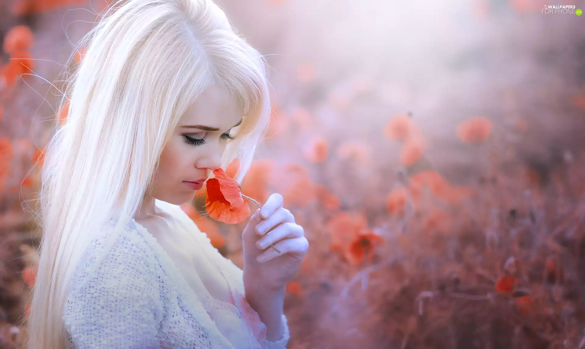 girl, red weed, Blurred Poppies, Blonde