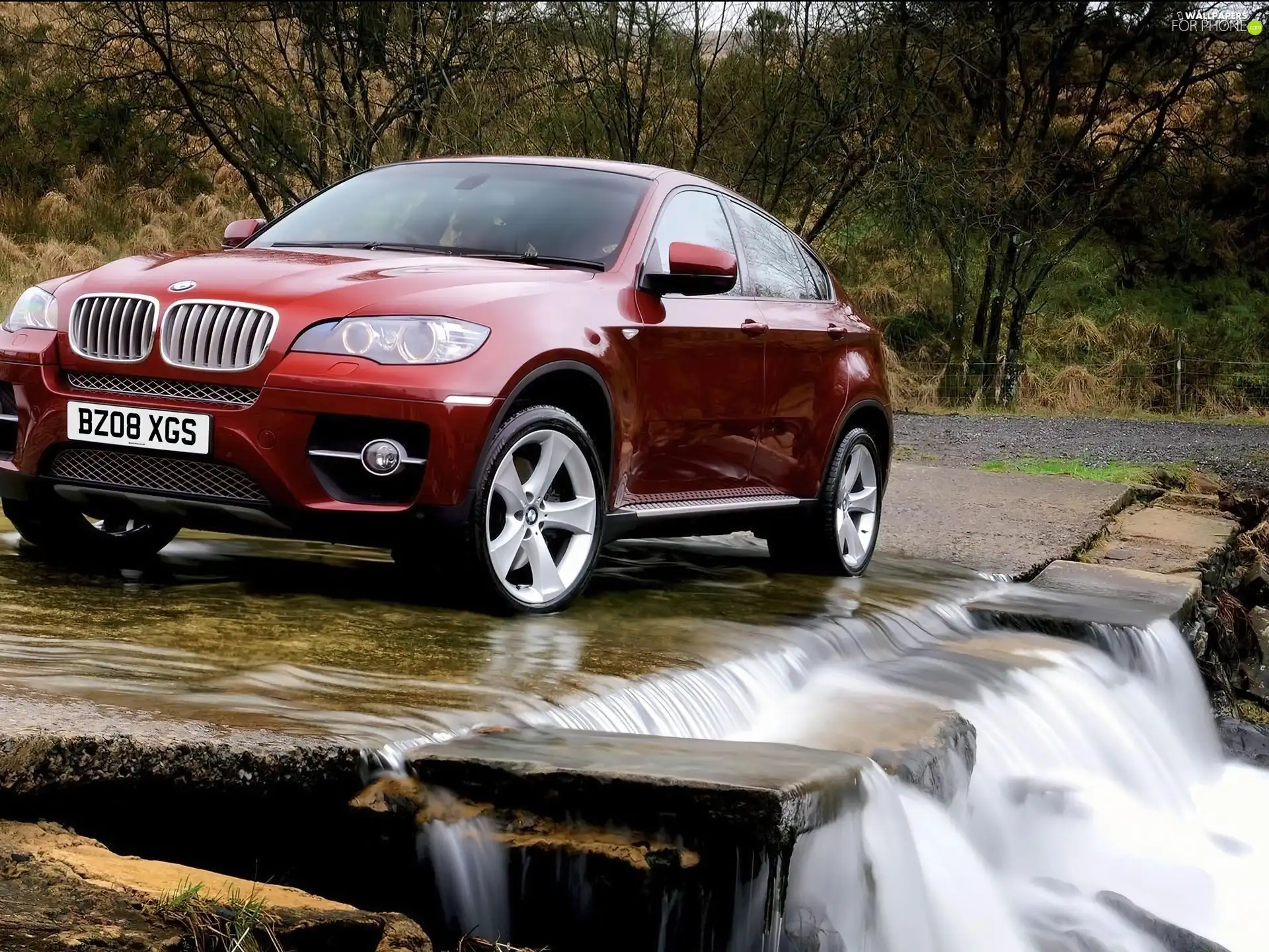 brook, cherry, BMW X6