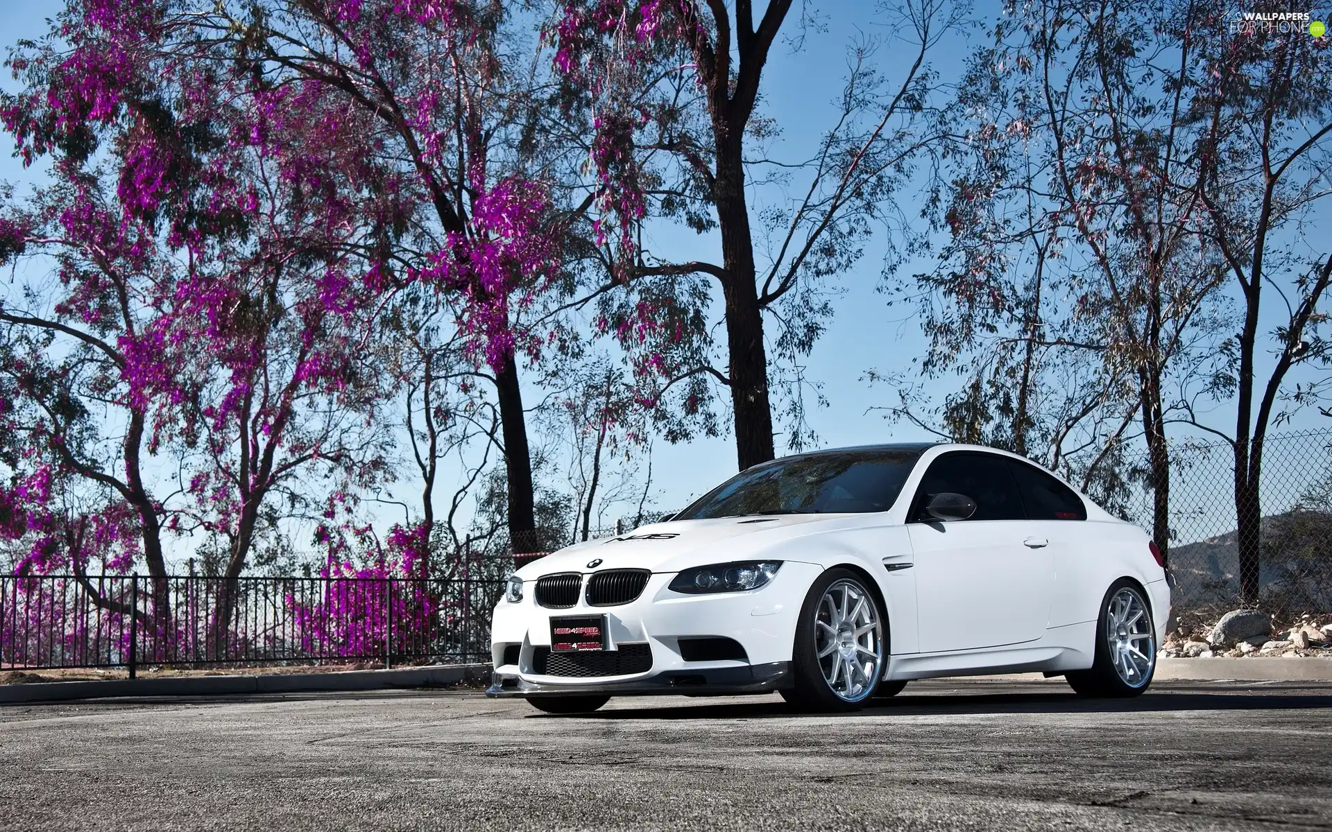 White, BMW M3 Coupe