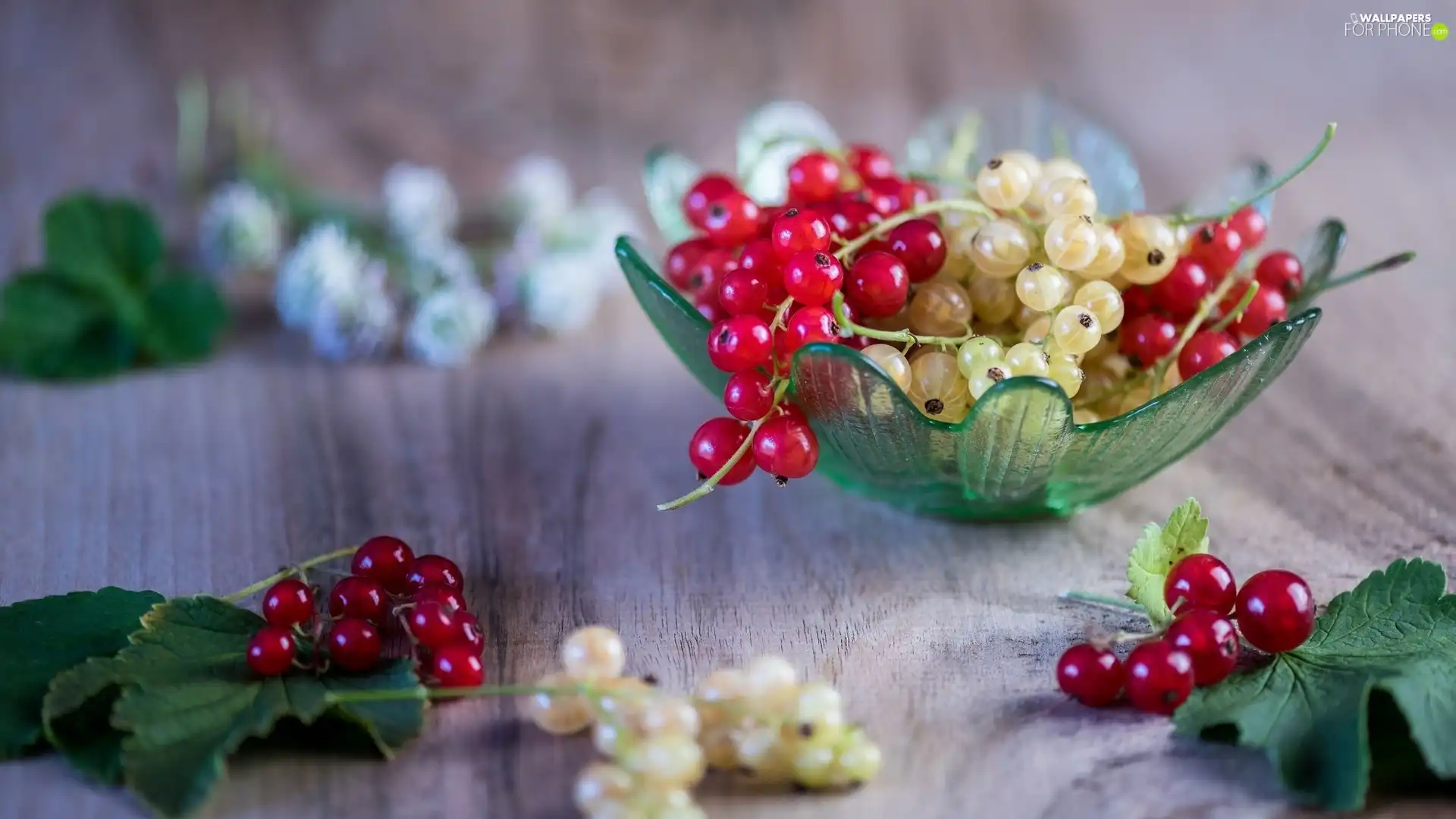 boarding, Leaf, Glass, bowl, currants