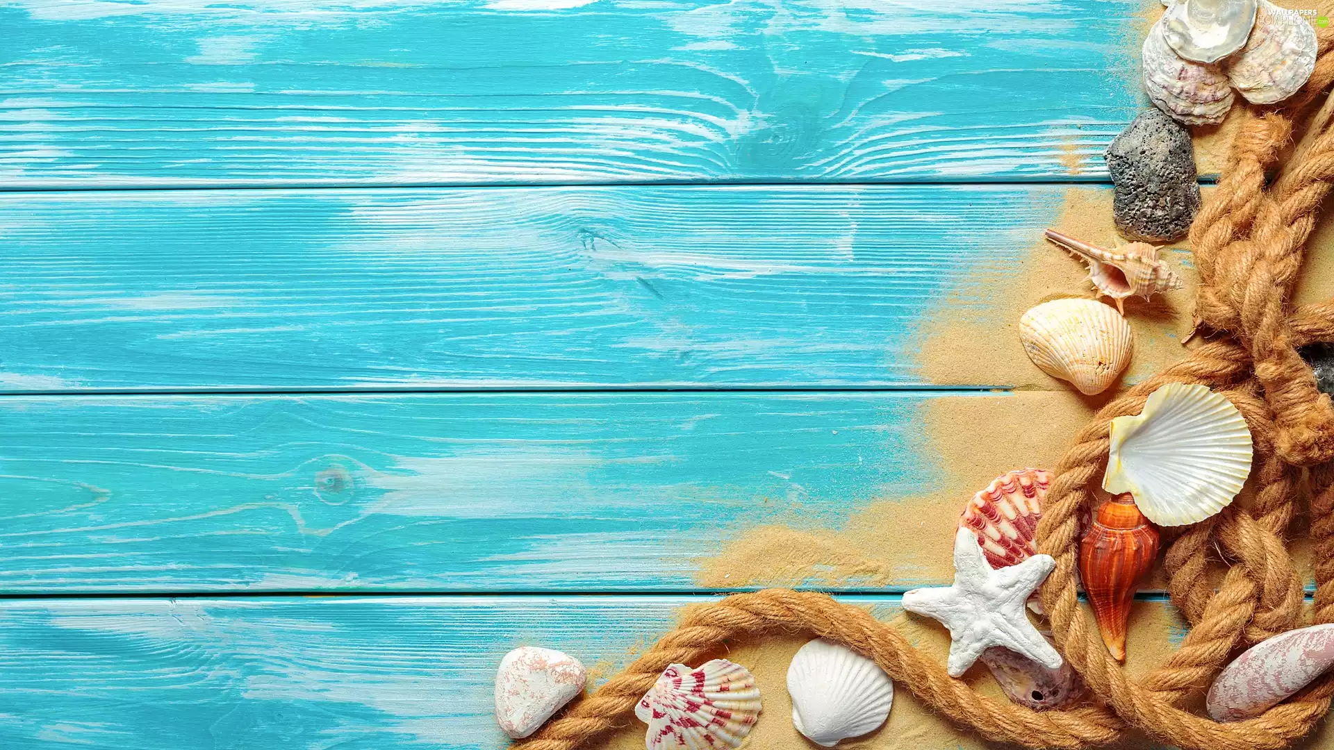 line, starfish, Blue, boarding, Sand, Shells