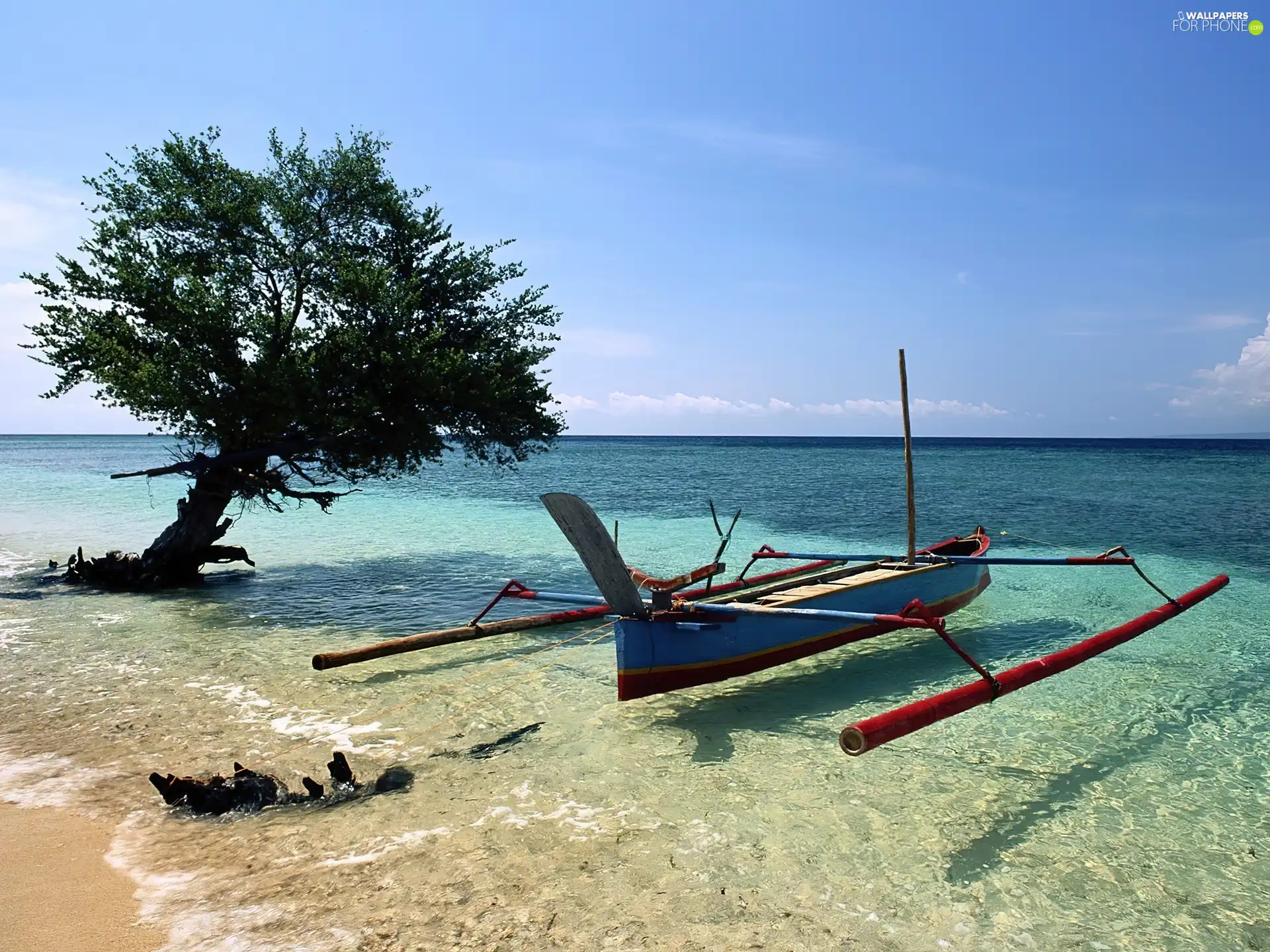 Boat, Ocean, trees