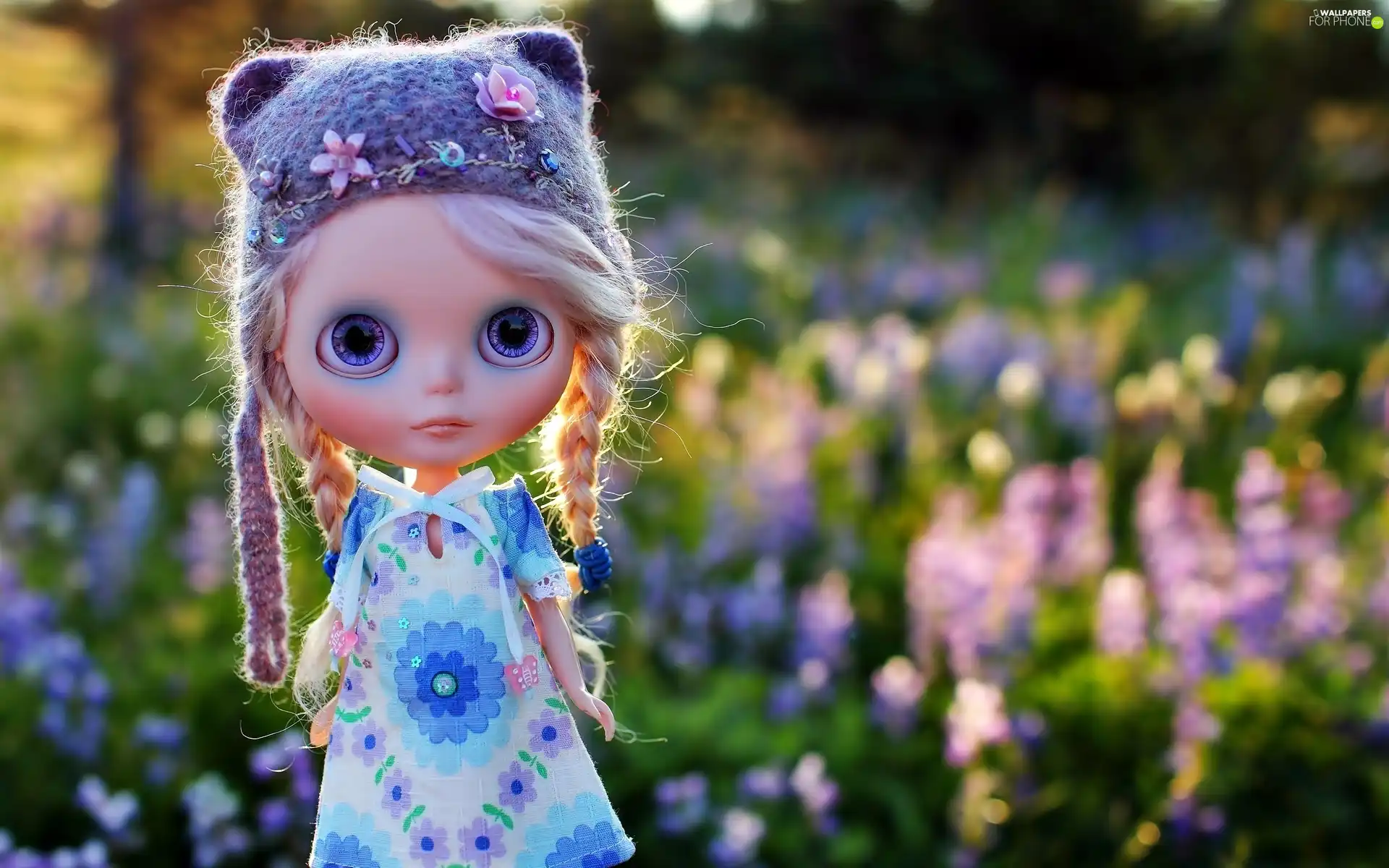 Bonnet, doll, pigtail