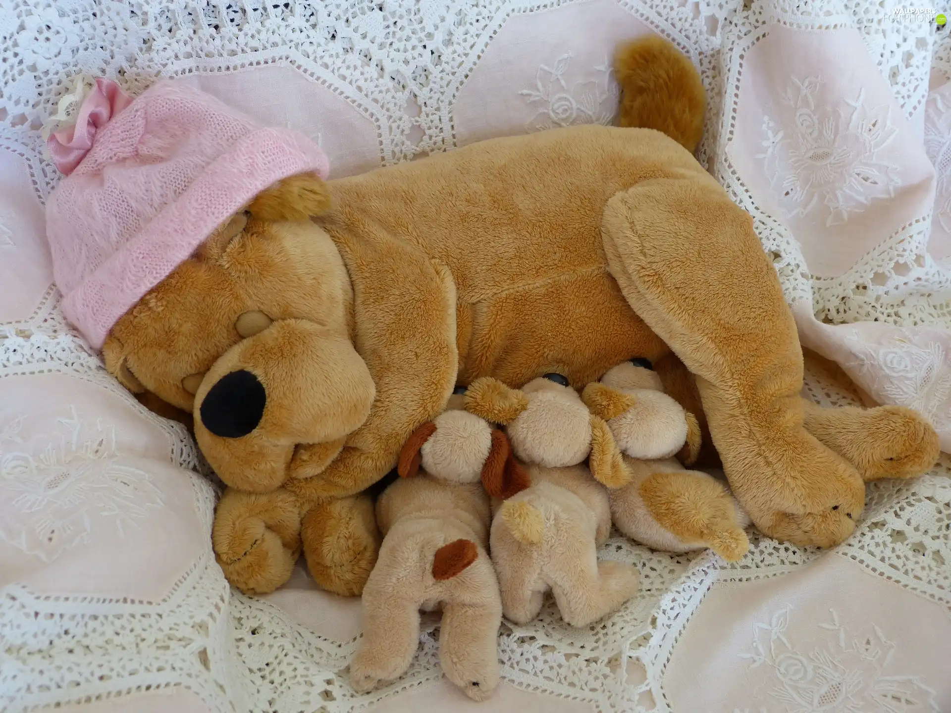 Bonnet, puppies, Pink