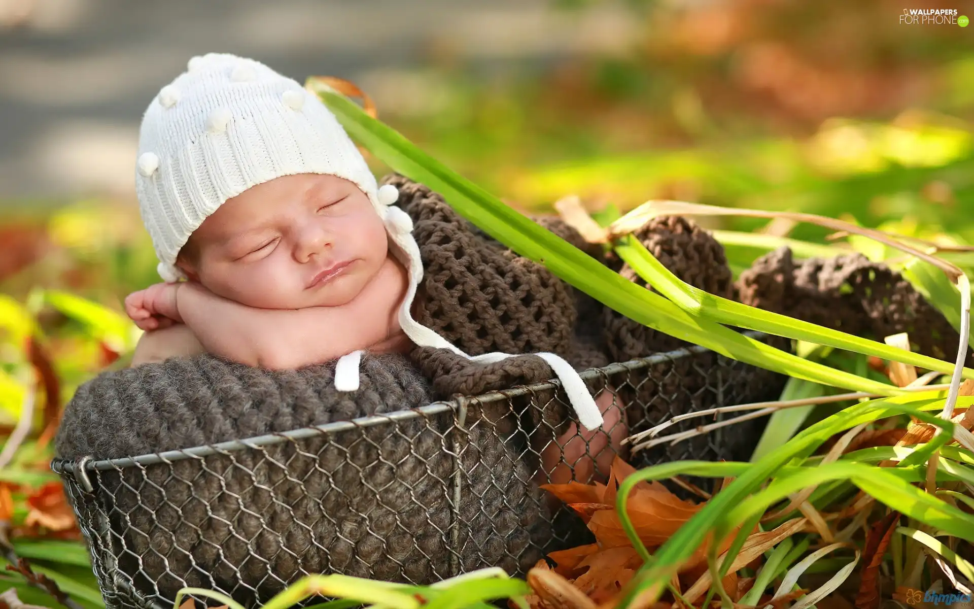 Sleeping, White, Bonnet, Baby