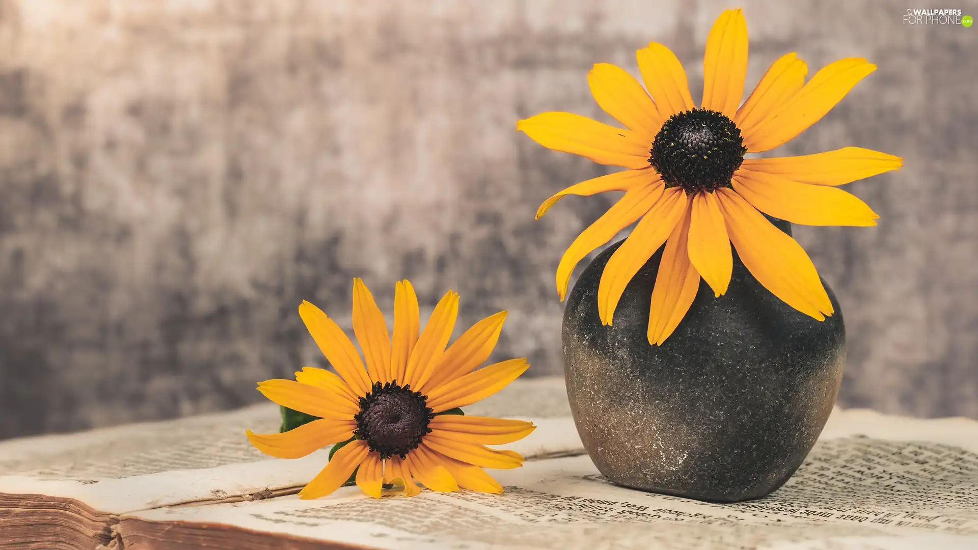 Vase, Book, Flowers, Rudbeckia, Yellow