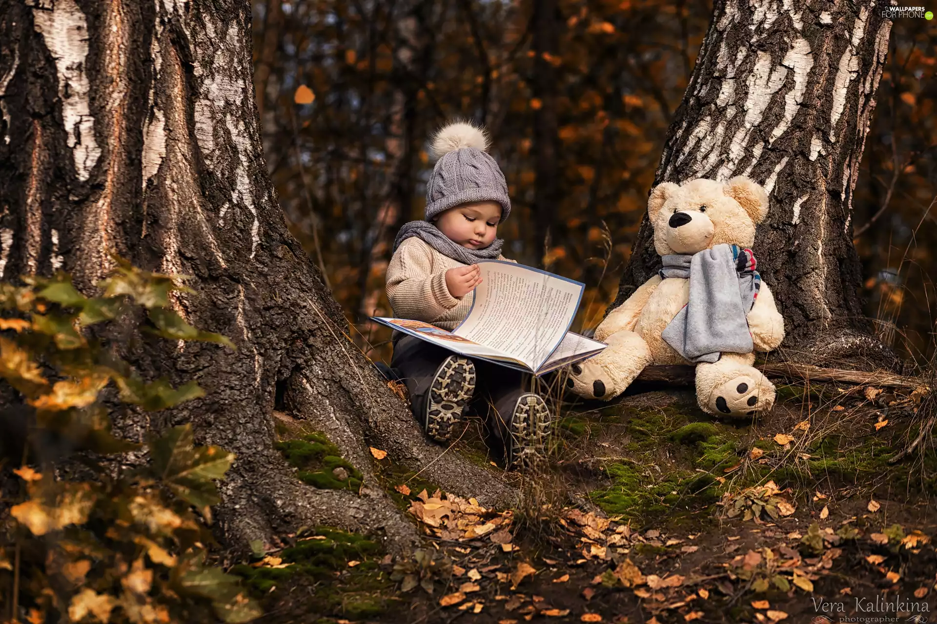 plush toy, Kid, trees, viewes, teddy bear, Book