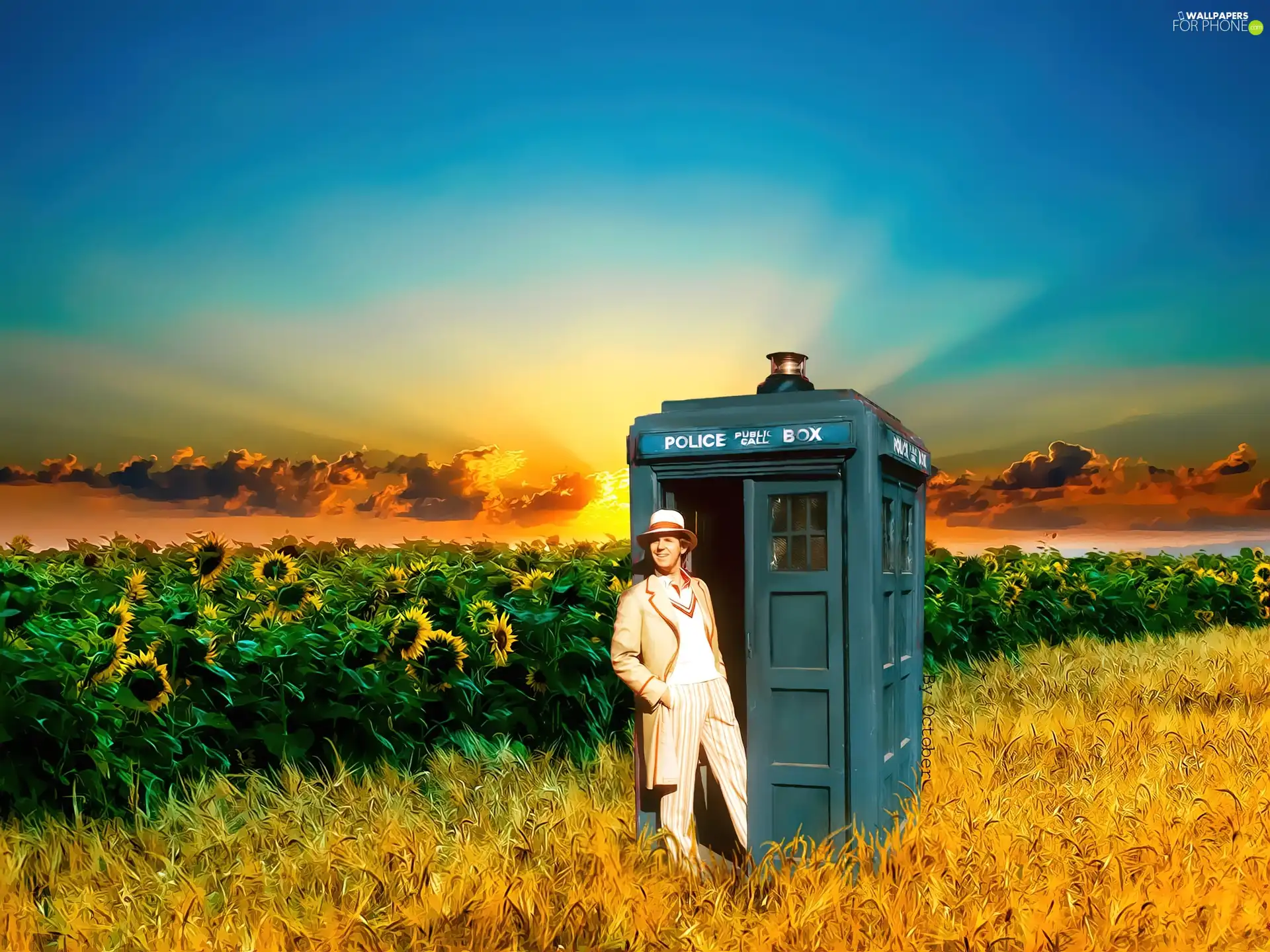 a man, corn, booth, Nice sunflowers