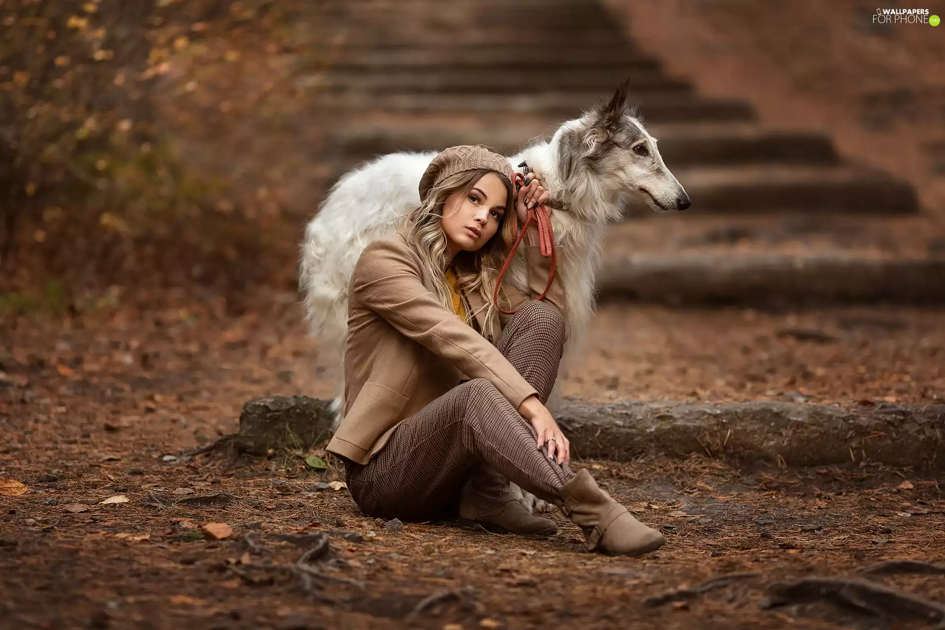 Women, Borzoi, Russian Chart, dog