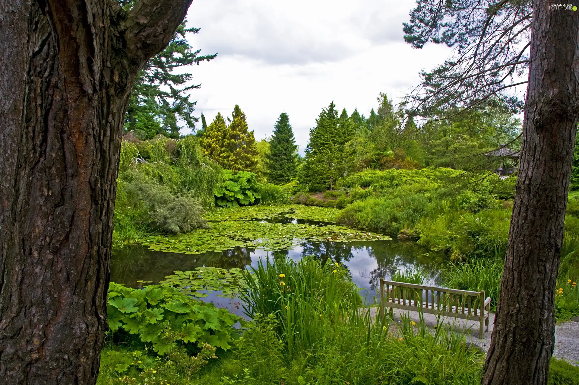Garden, botanical