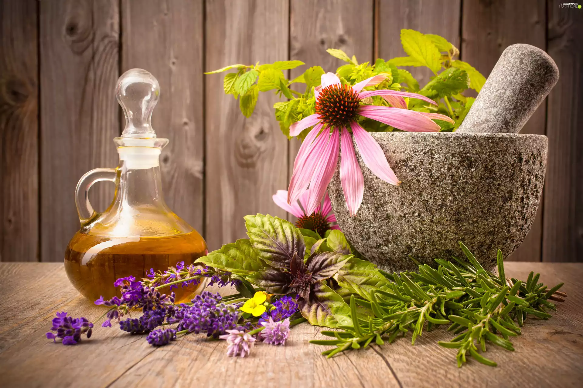 mortar, oil, Flowers, bottle, Spa, Plants, echinacea
