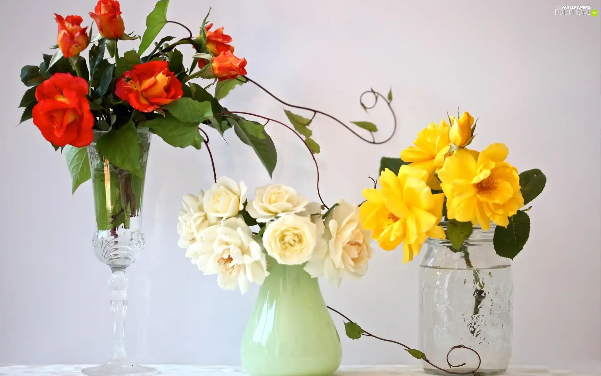 bottles, Bouquets, flowers