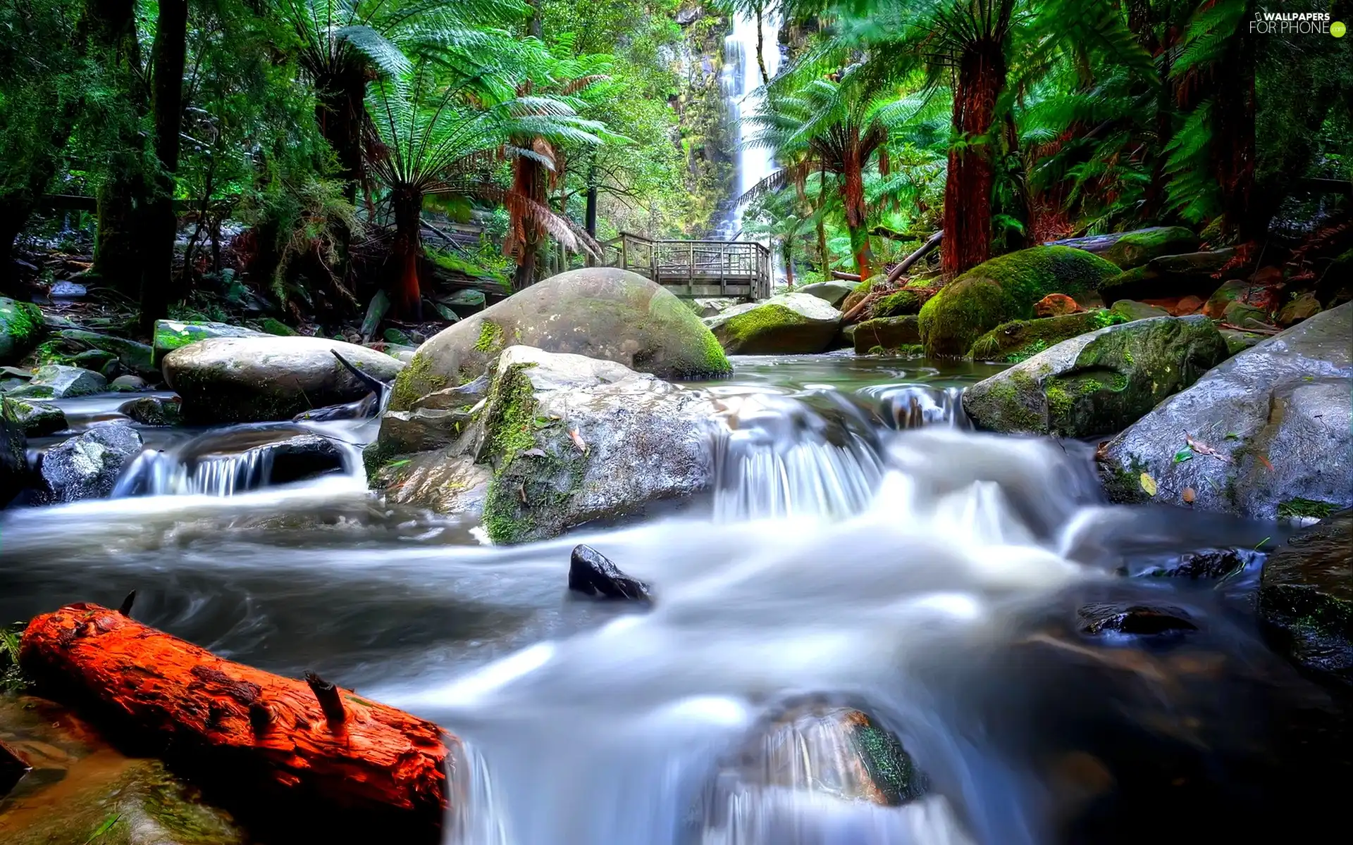 boulders, jungle, waterfall