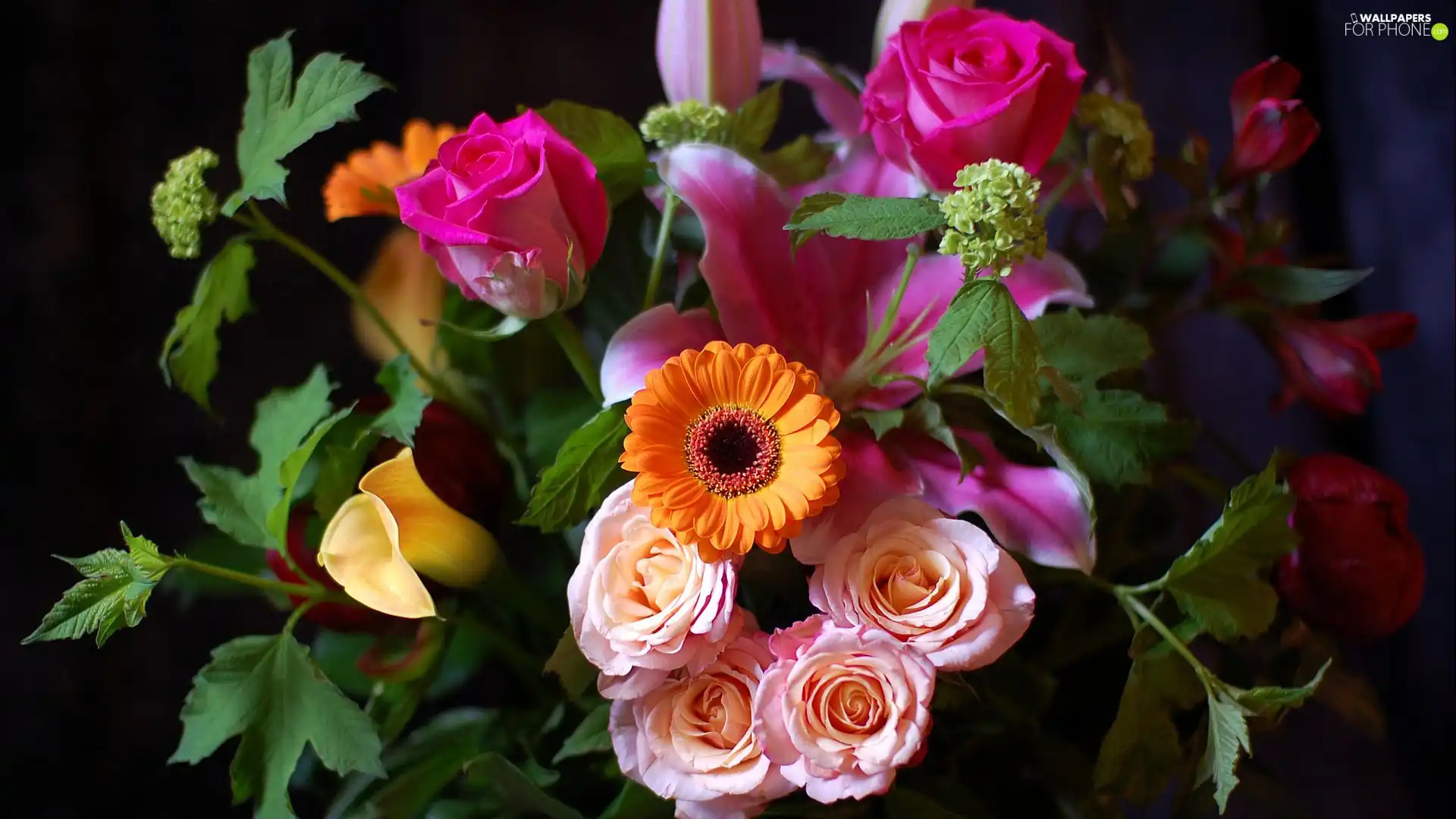 bouquet, Pink, roses