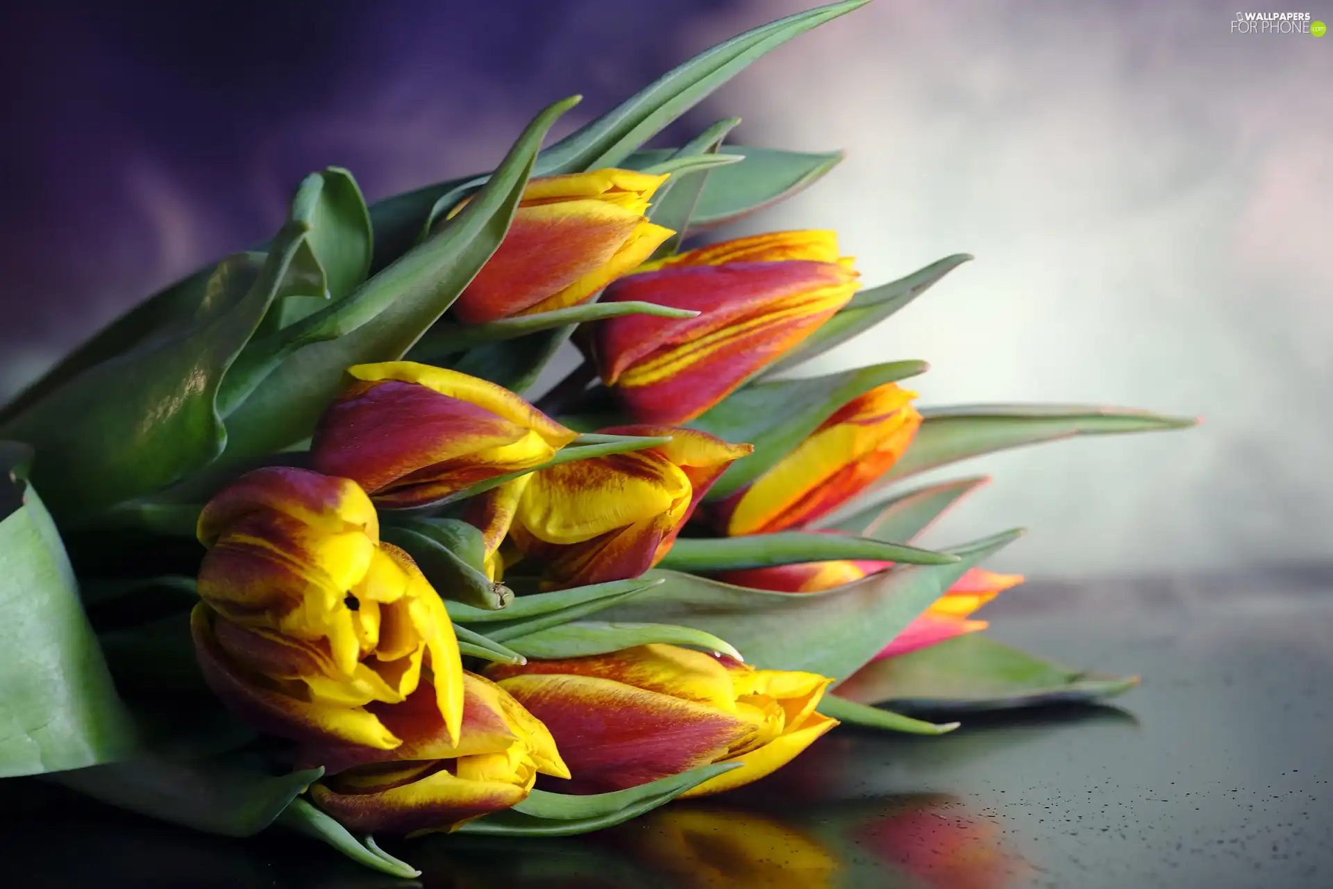 bouquet, Flowers, Tulips