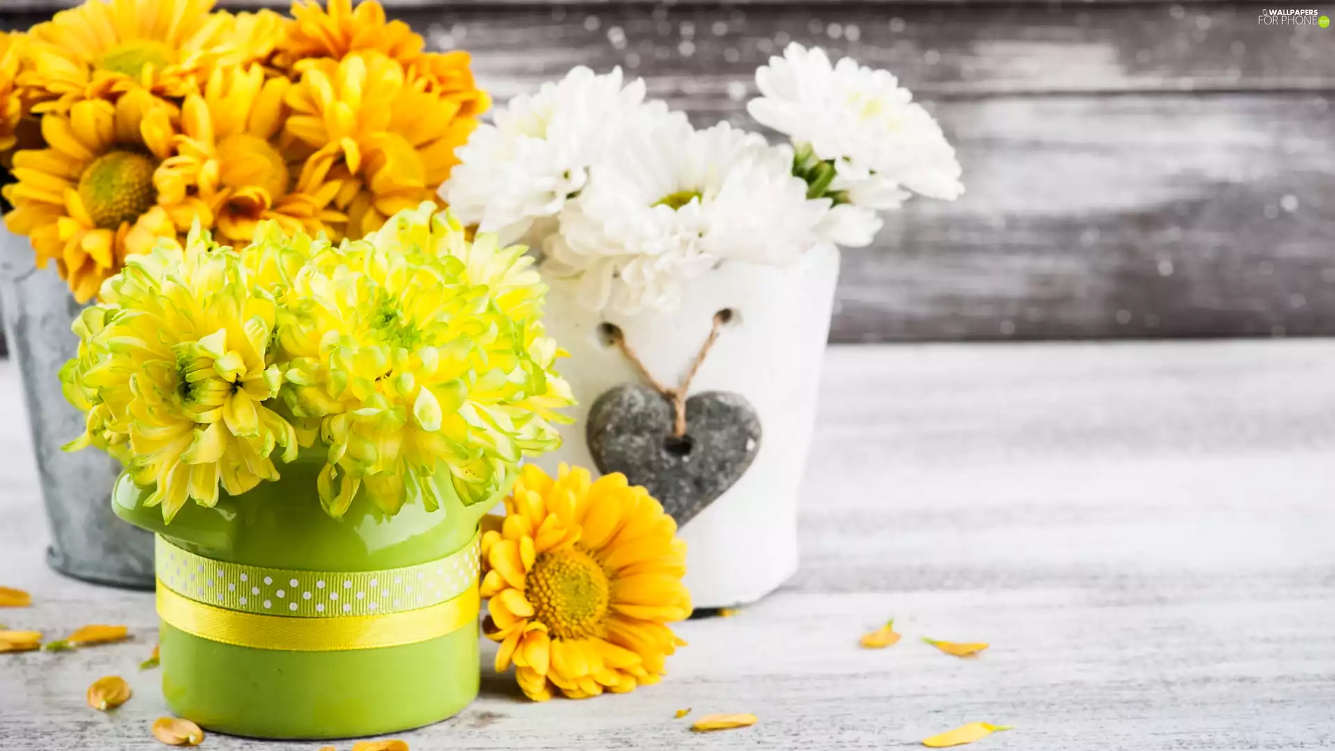 Orange, White, Pots, Bouquets, Chrysanthemums, Yellow