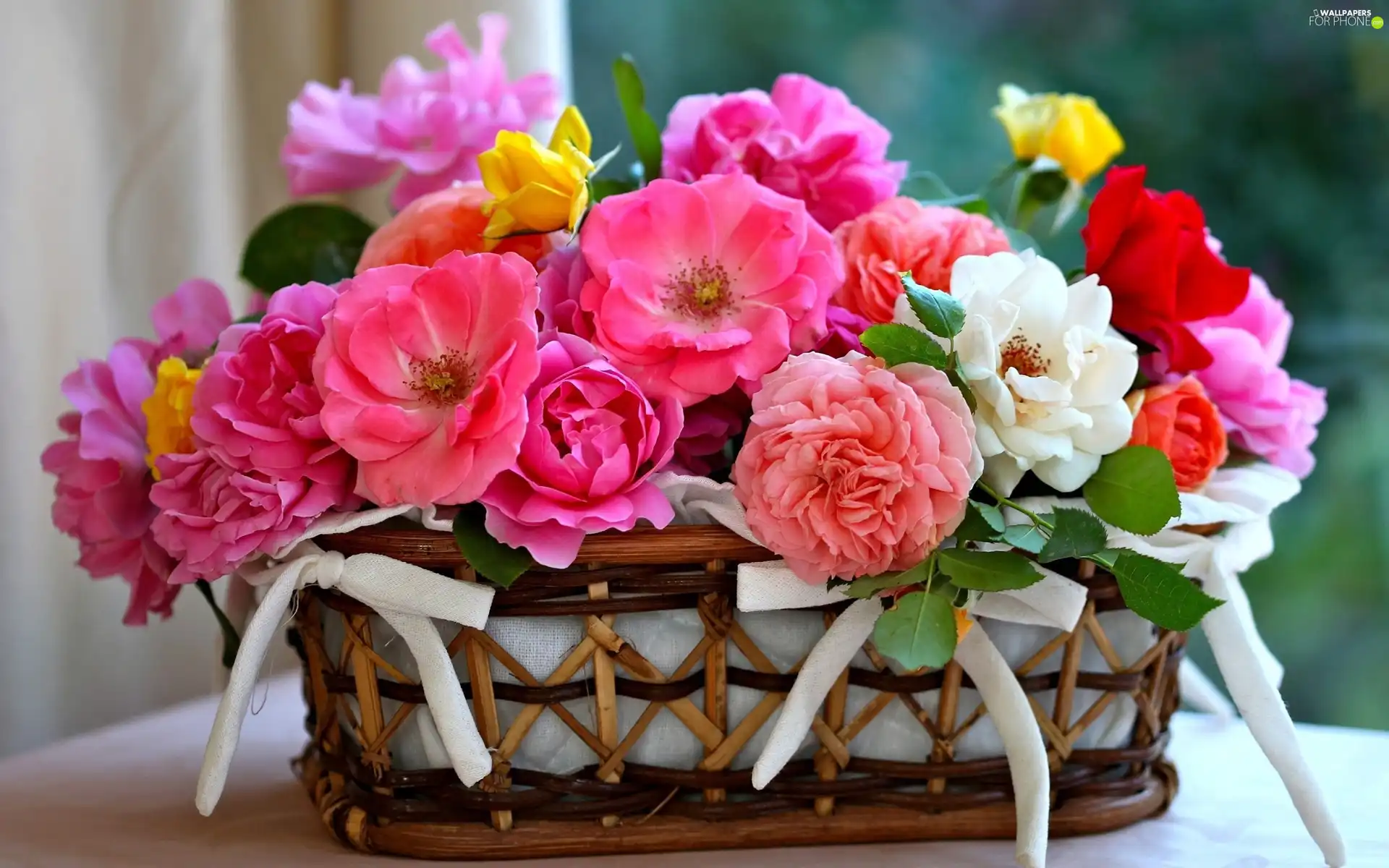 bow, roses, basket
