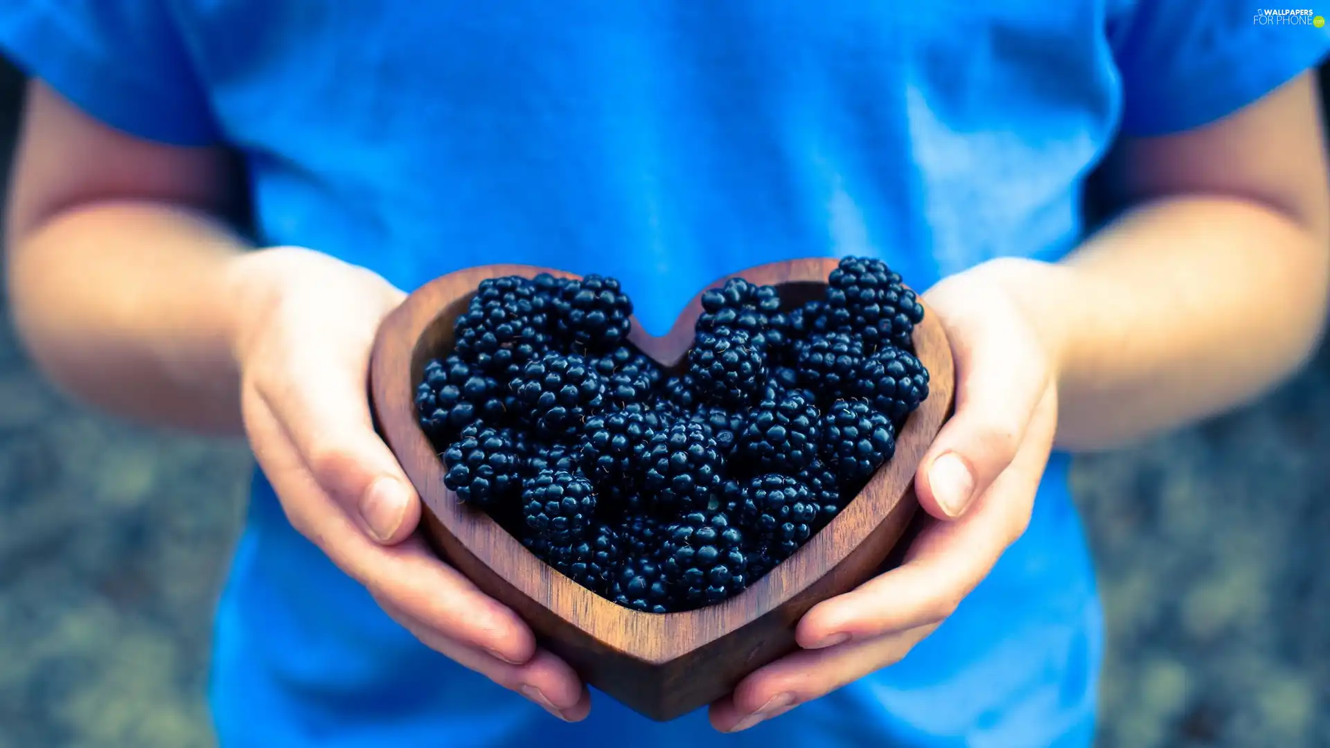 bowl, Women, blackberries