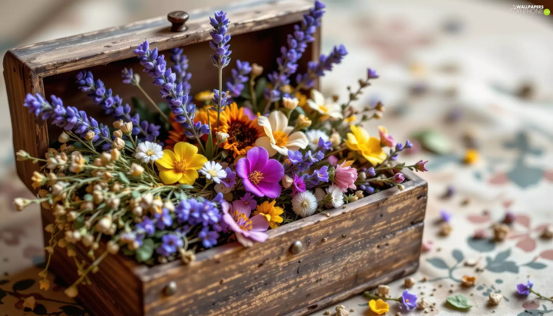 Wooden, lavender, Flowers, box