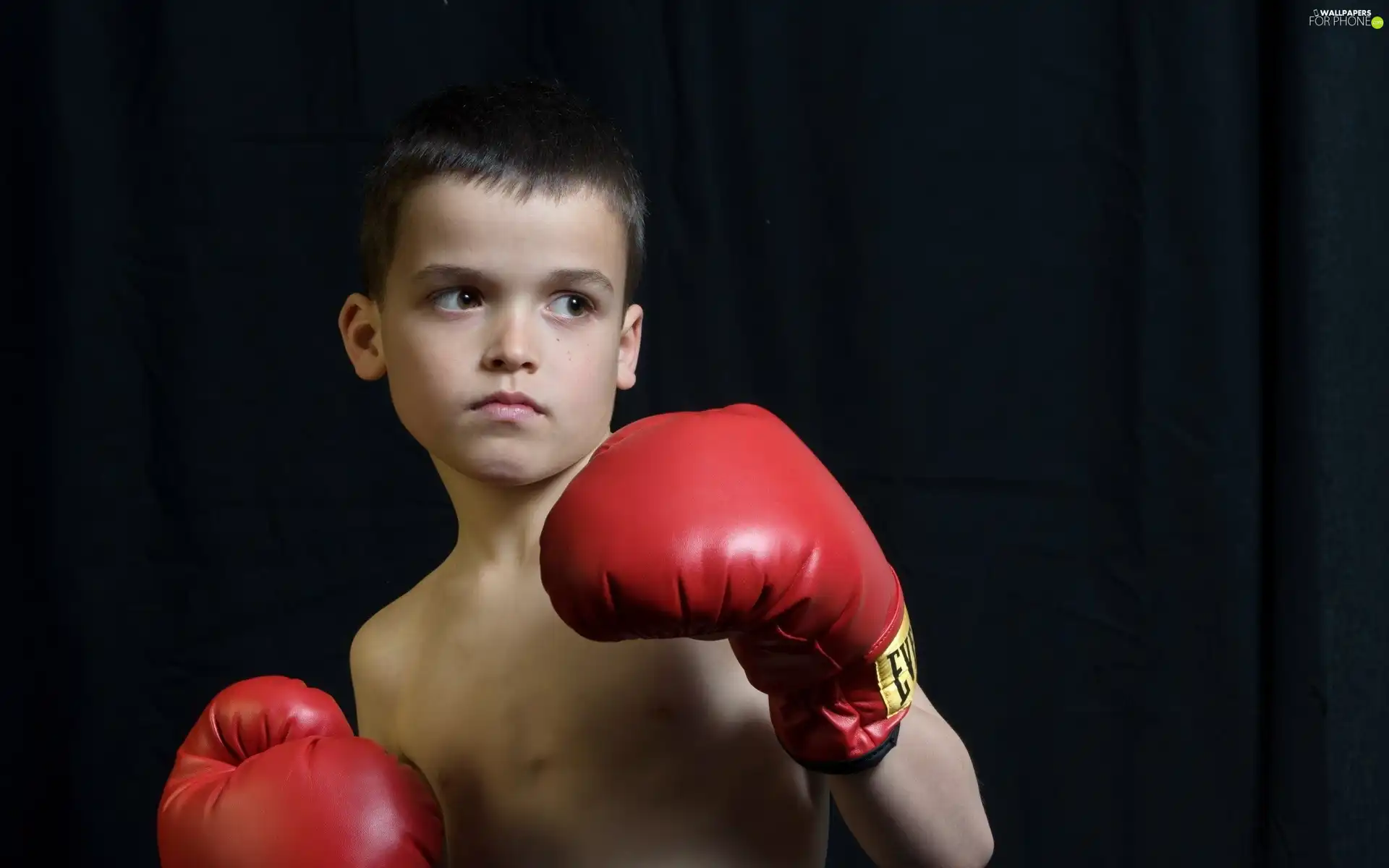 boy, small, boxer, glove