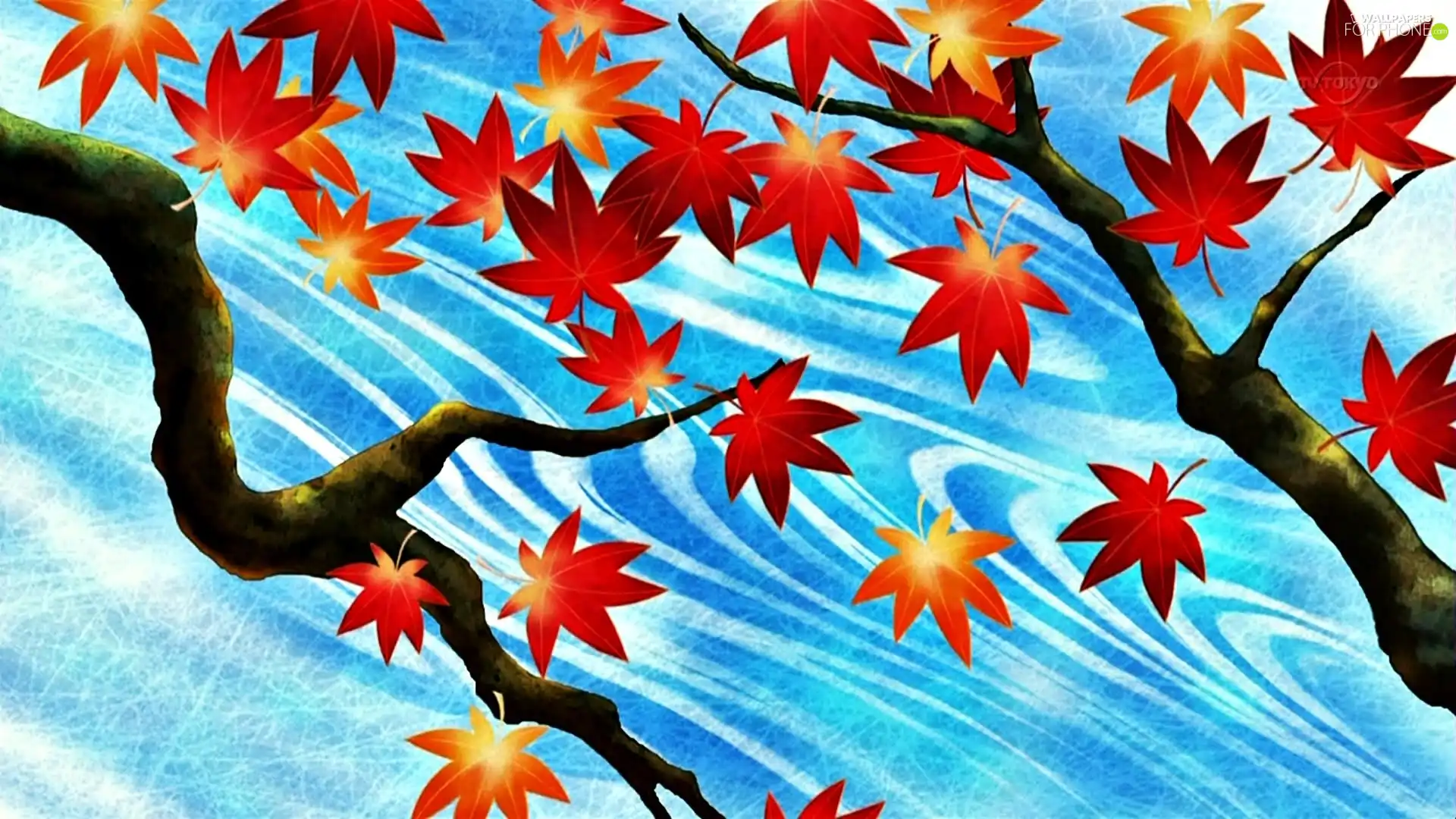 Leaf, autumn, branch pics