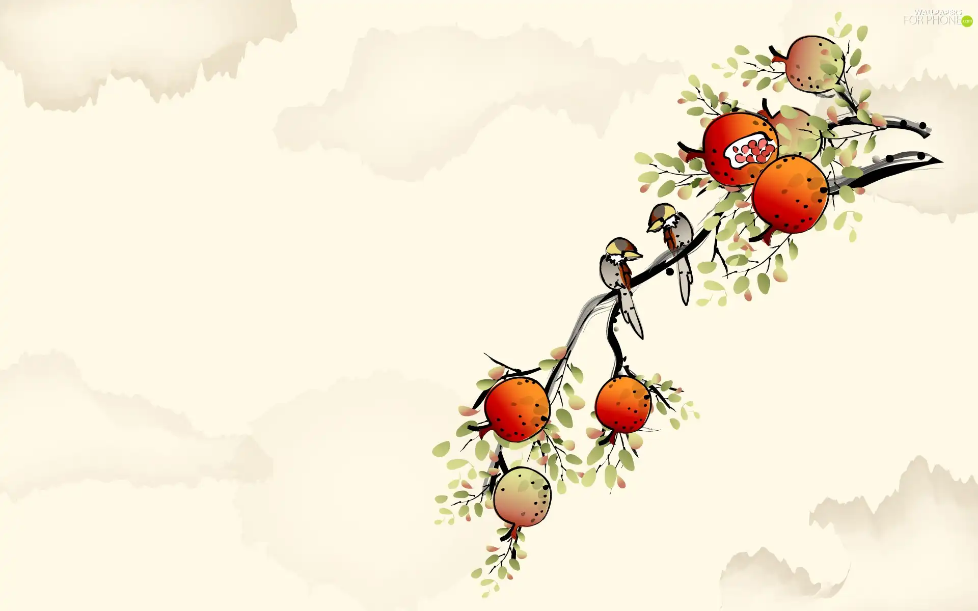 branch, Fruits, orange