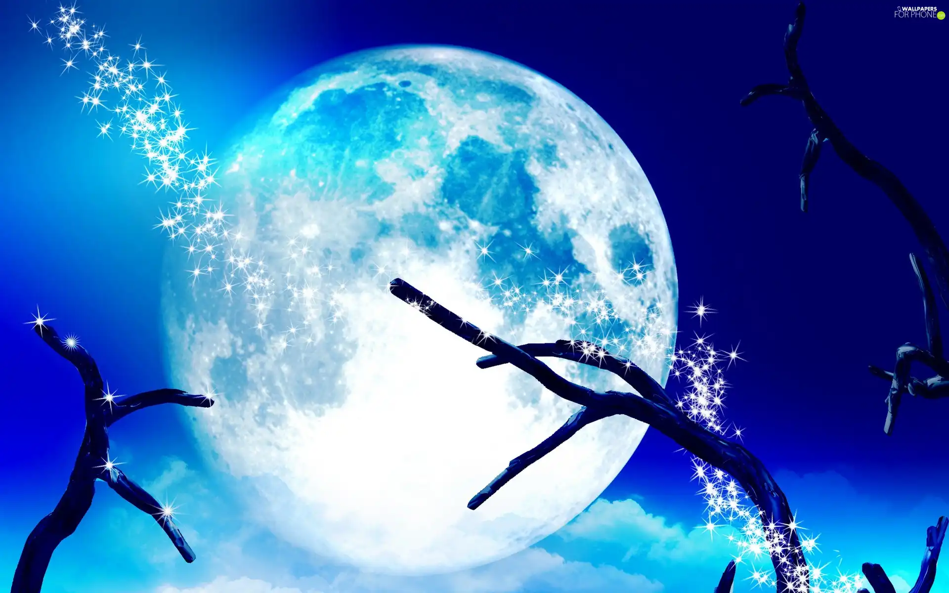 star, moon, branch pics