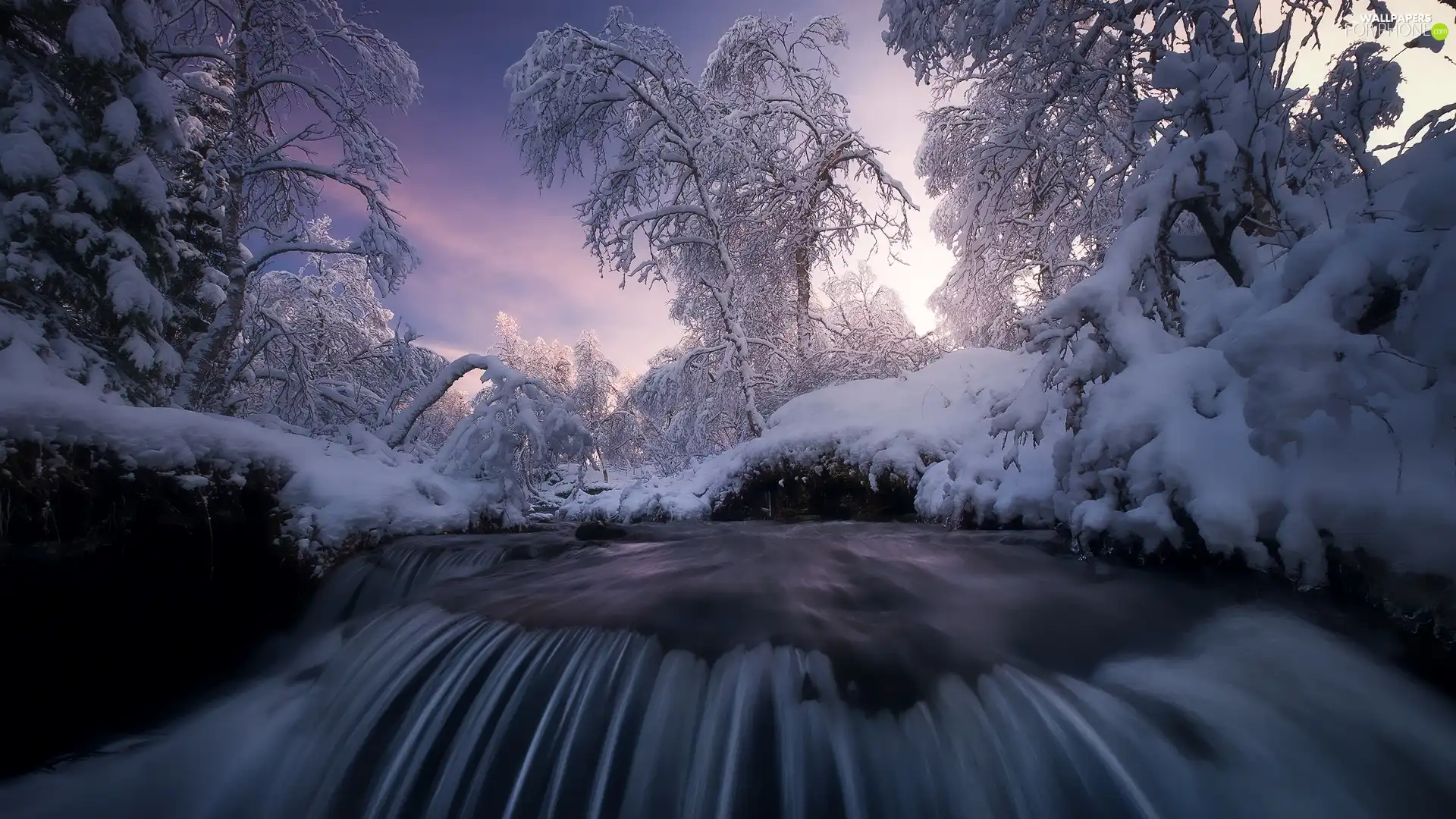 Snowy, River, viewes, branch pics, trees, winter