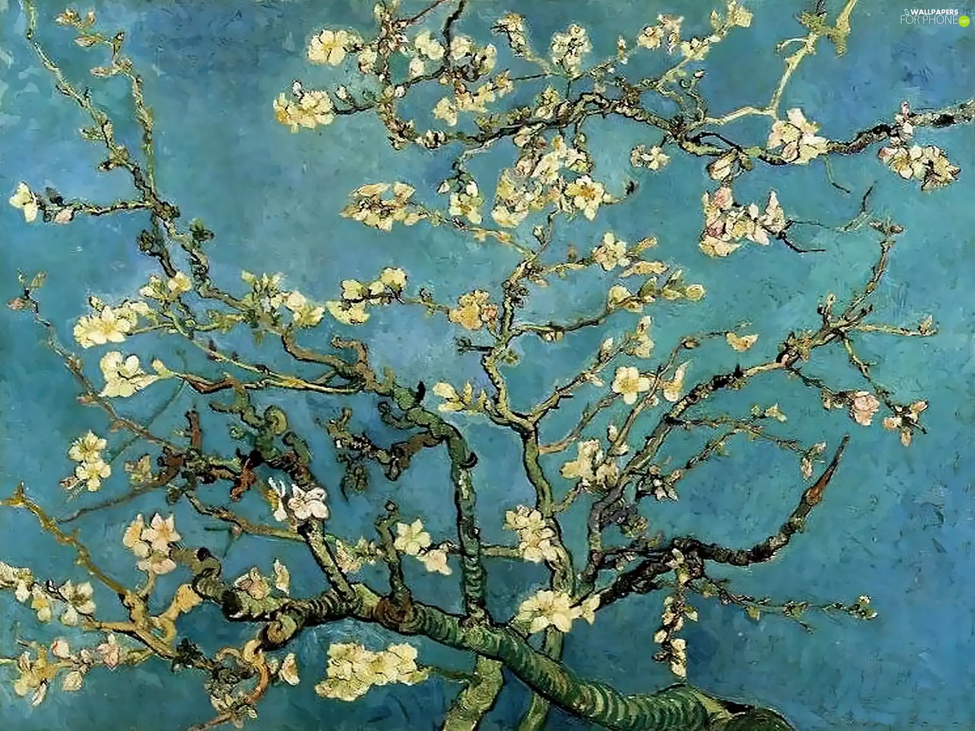 in, Bloom, Almond, Branches, Vincent Van Gogh