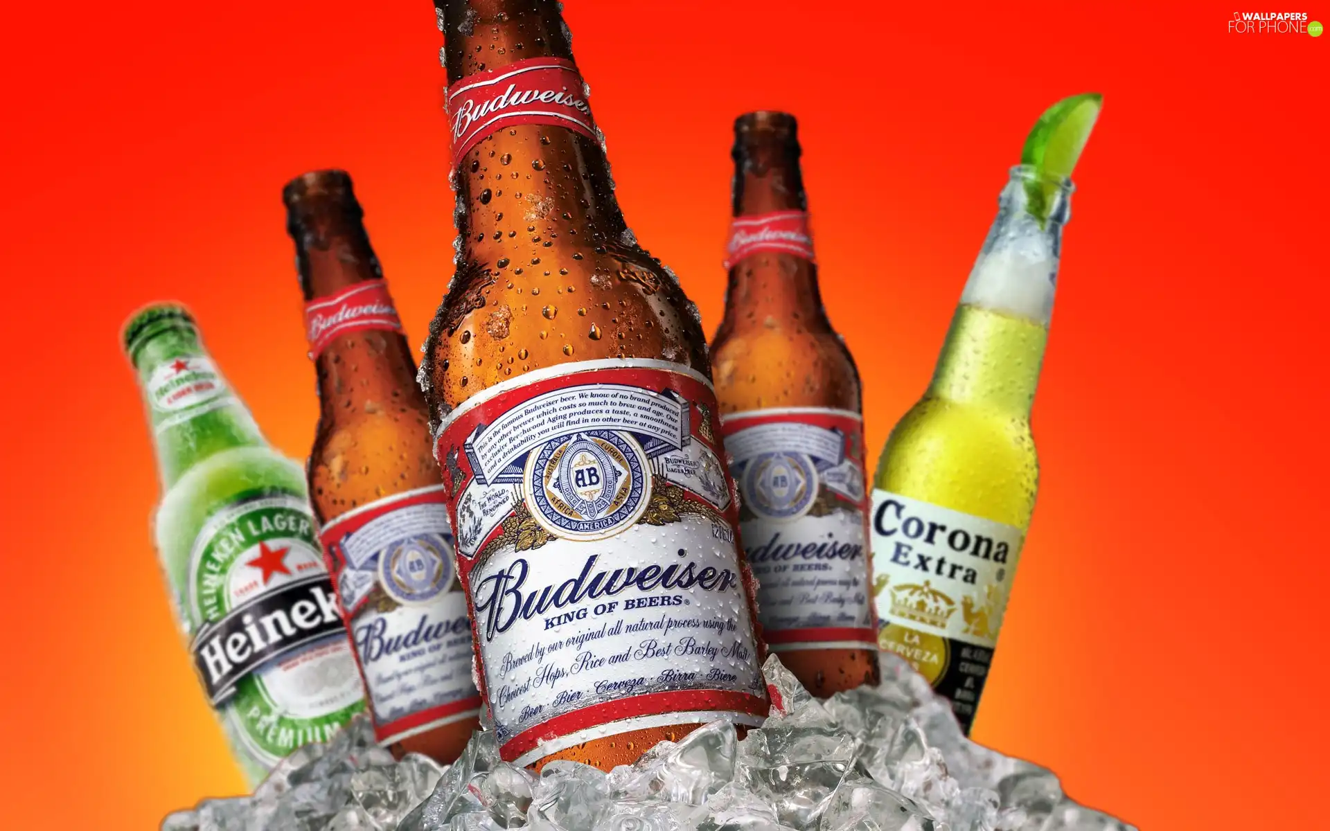Brand, Beer, different