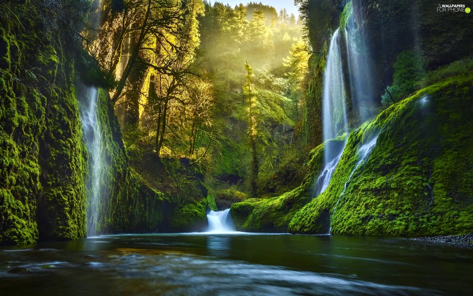 forest, River, light breaking through sky, waterfall